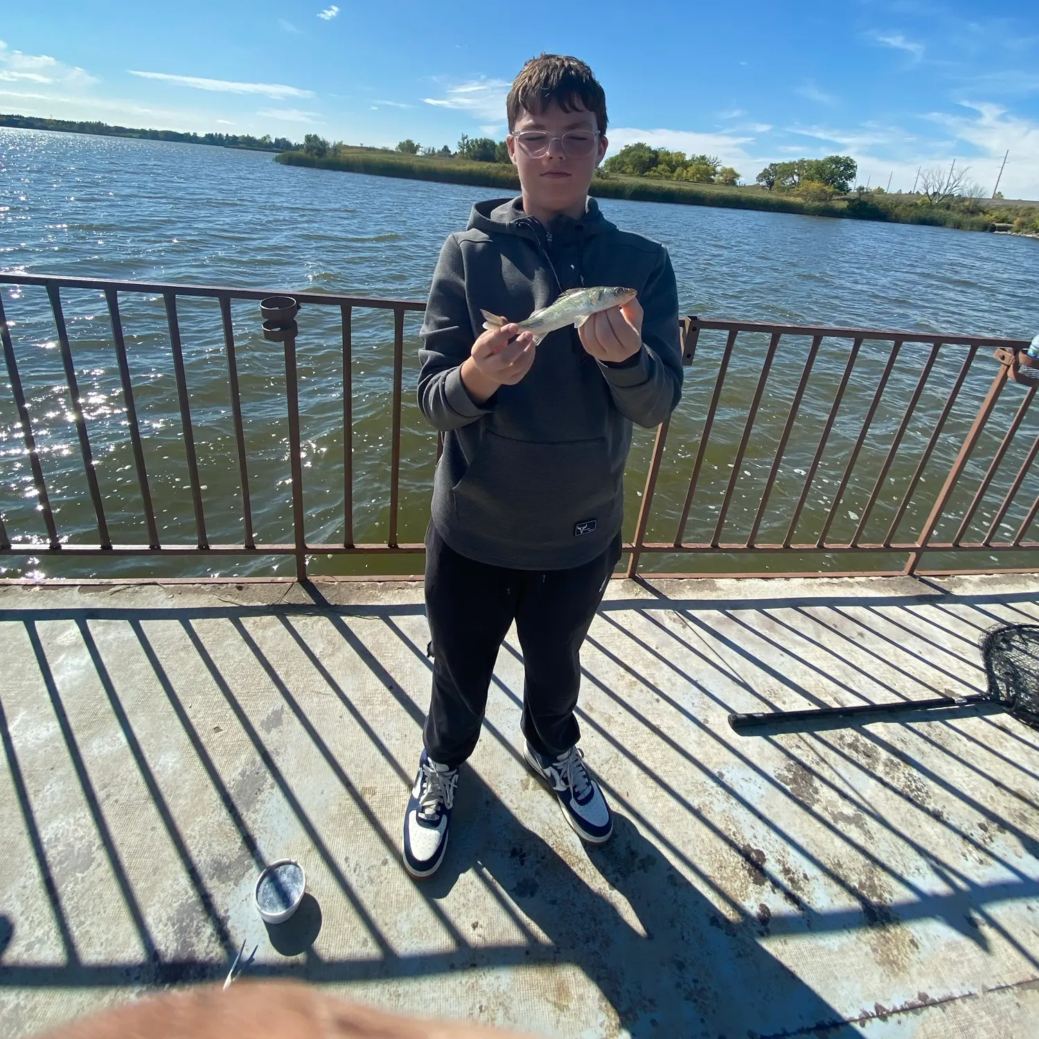 Walleye caught on Fishbrain