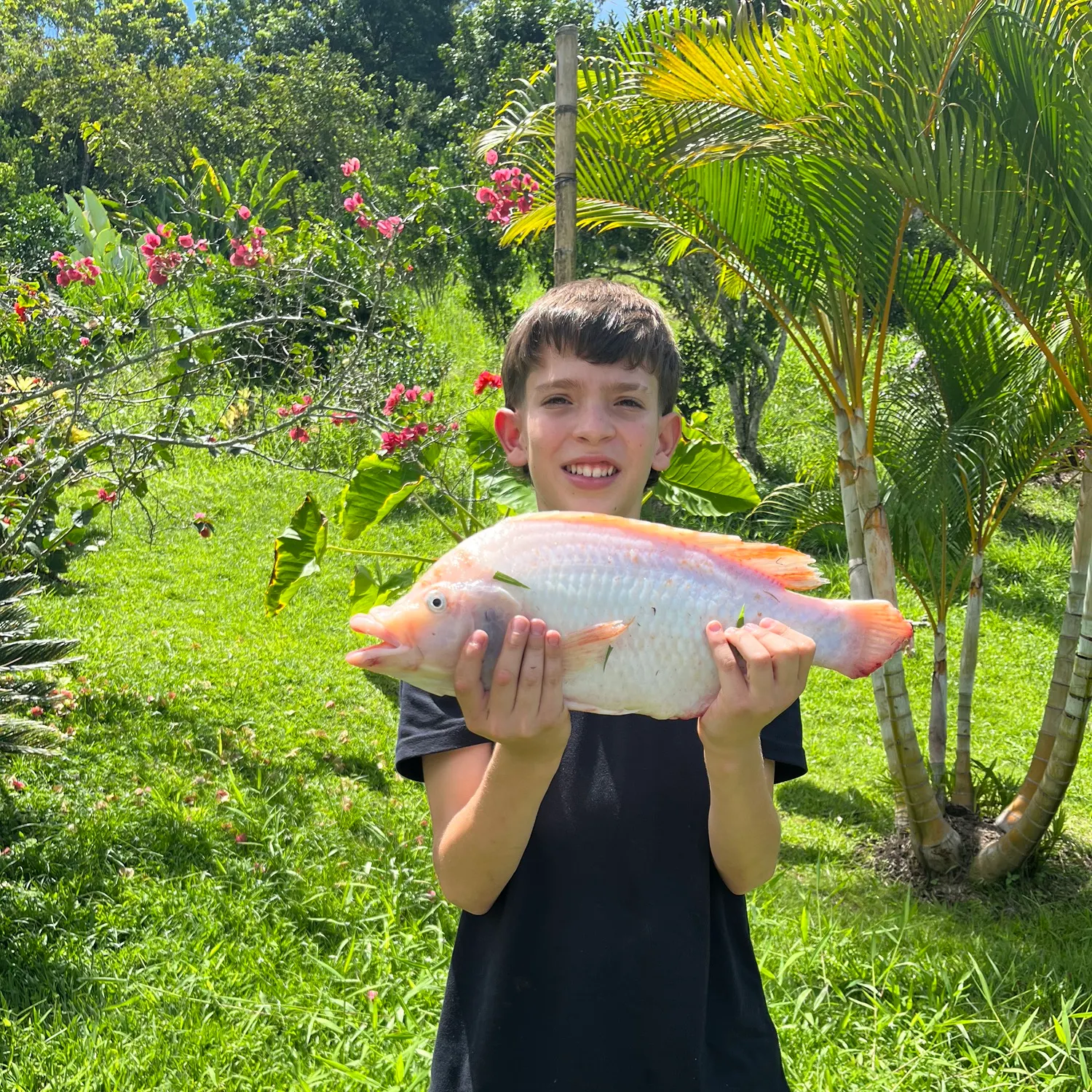 The most recent Red tilapia catches on Fishbrain