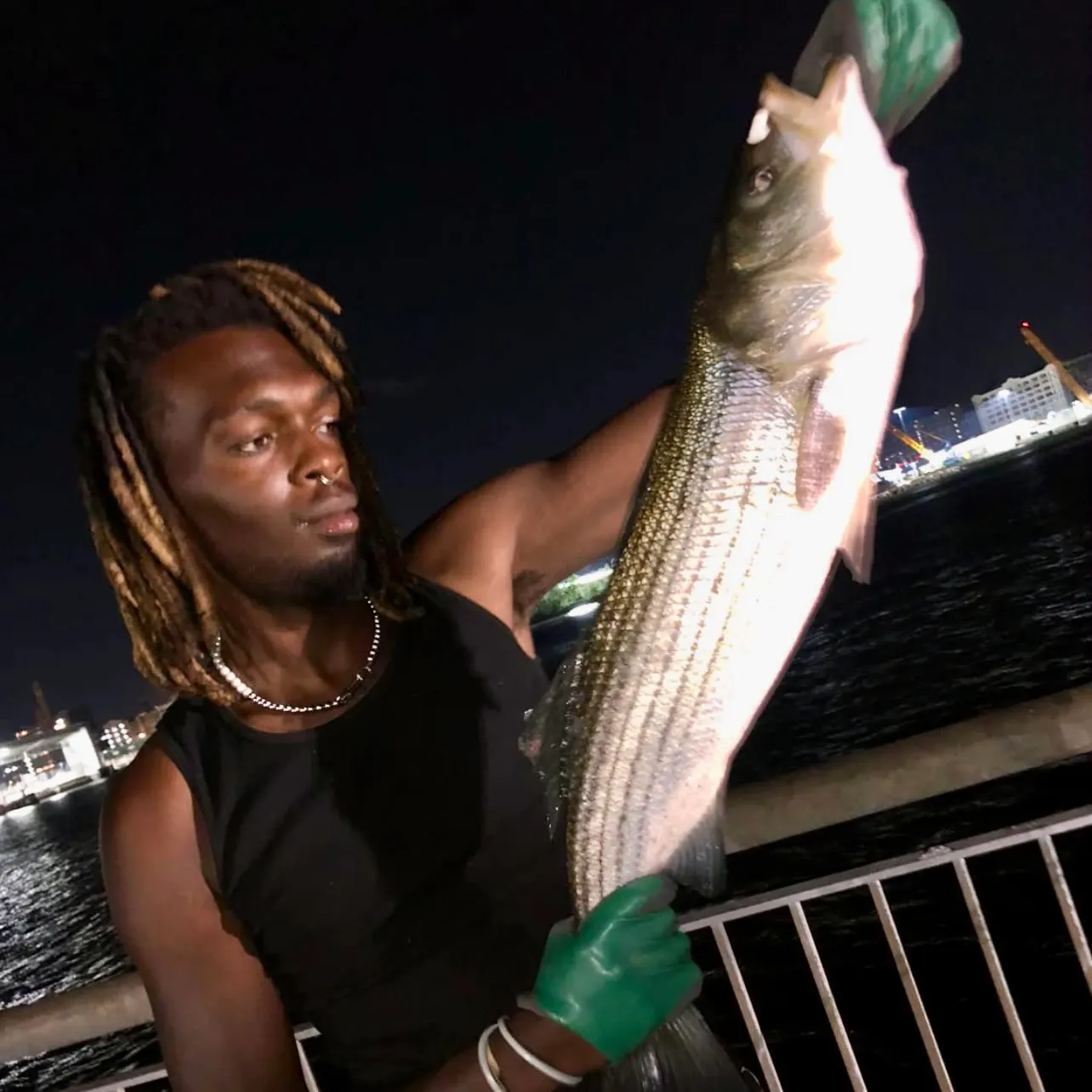 Striped bass caught on Fishbrain