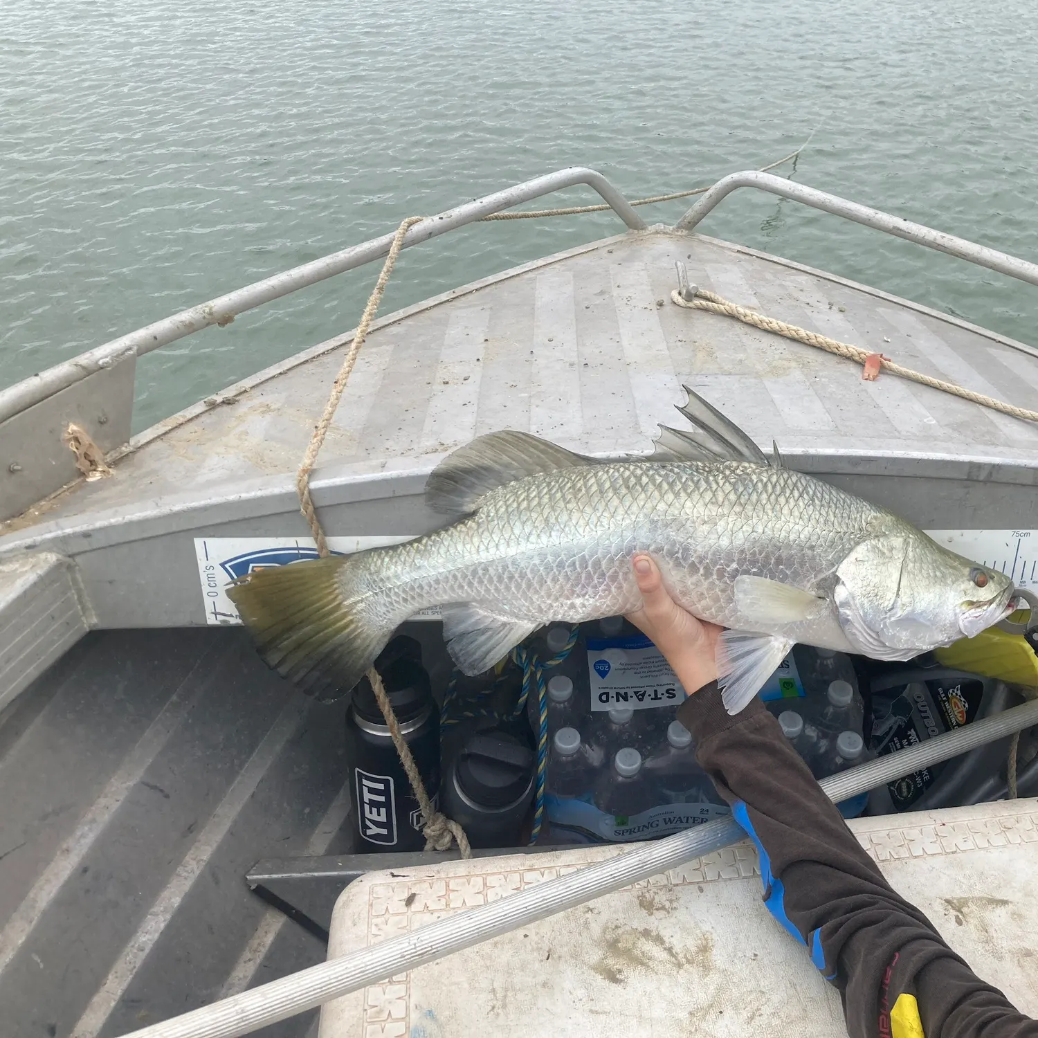 The most recent Barramundi catches on Fishbrain