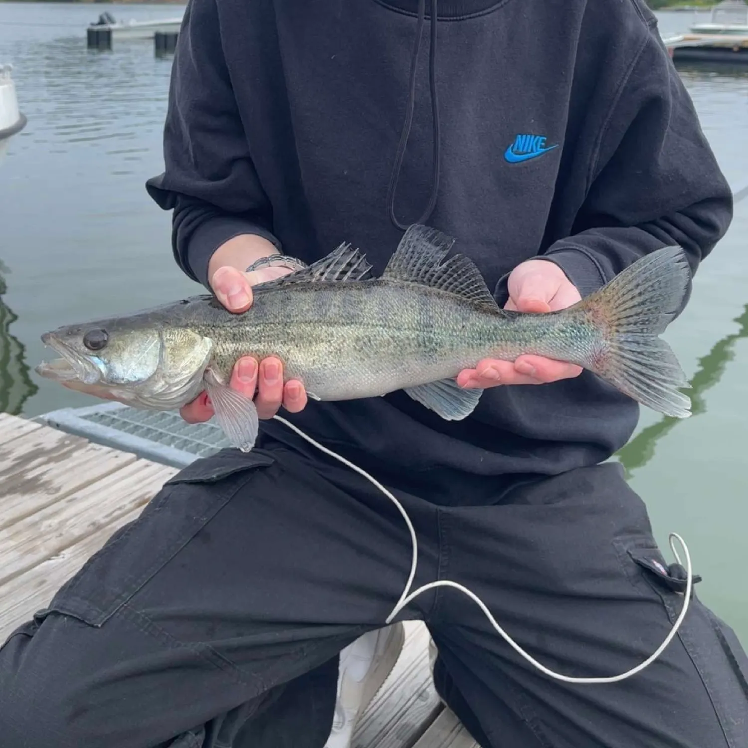 angler catch