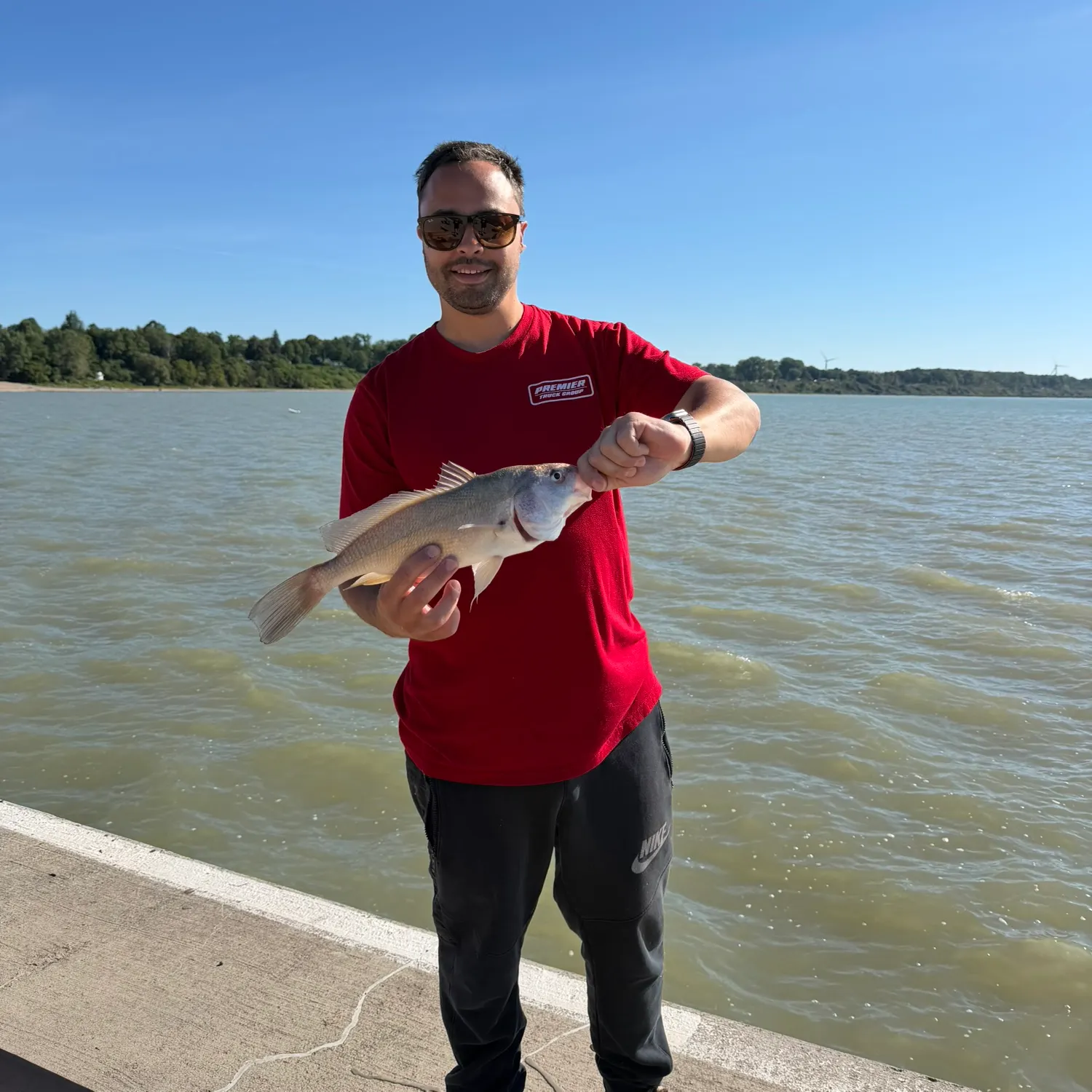 Freshwater drum caught on Fishbrain