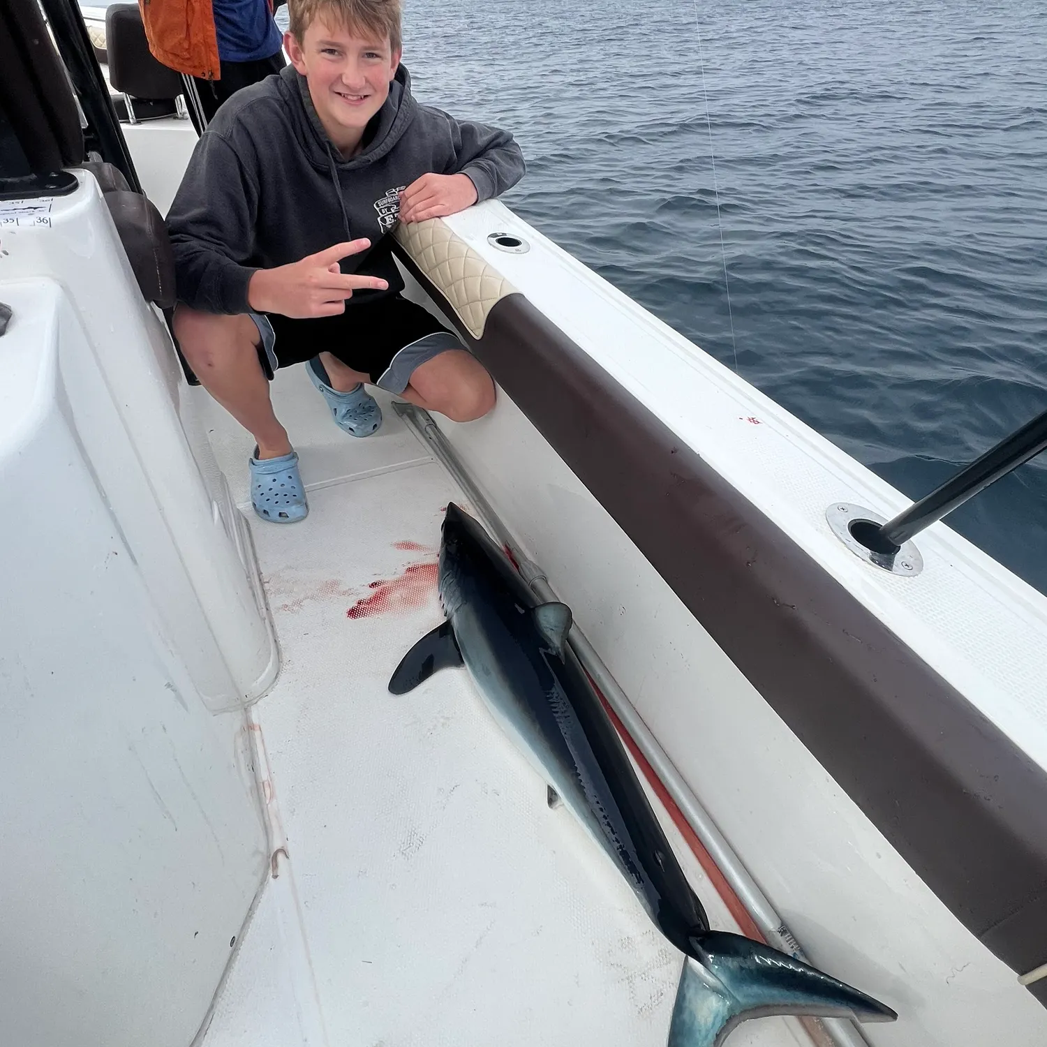 The most recent Shortfin mako shark catches on Fishbrain