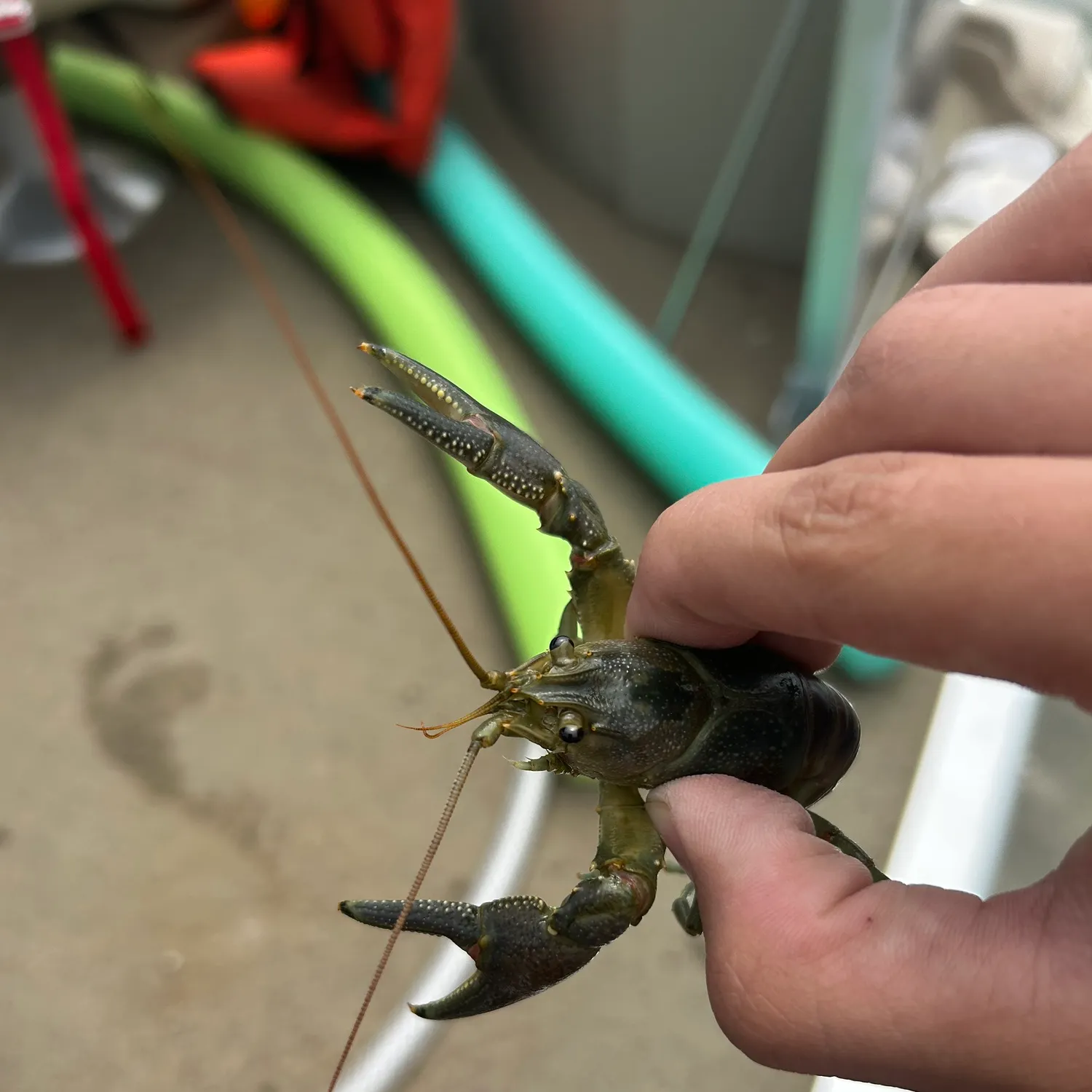 catch