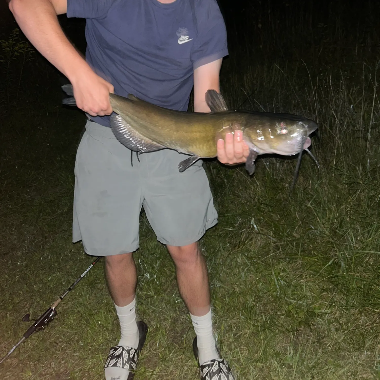 Channel catfish caught on Fishbrain