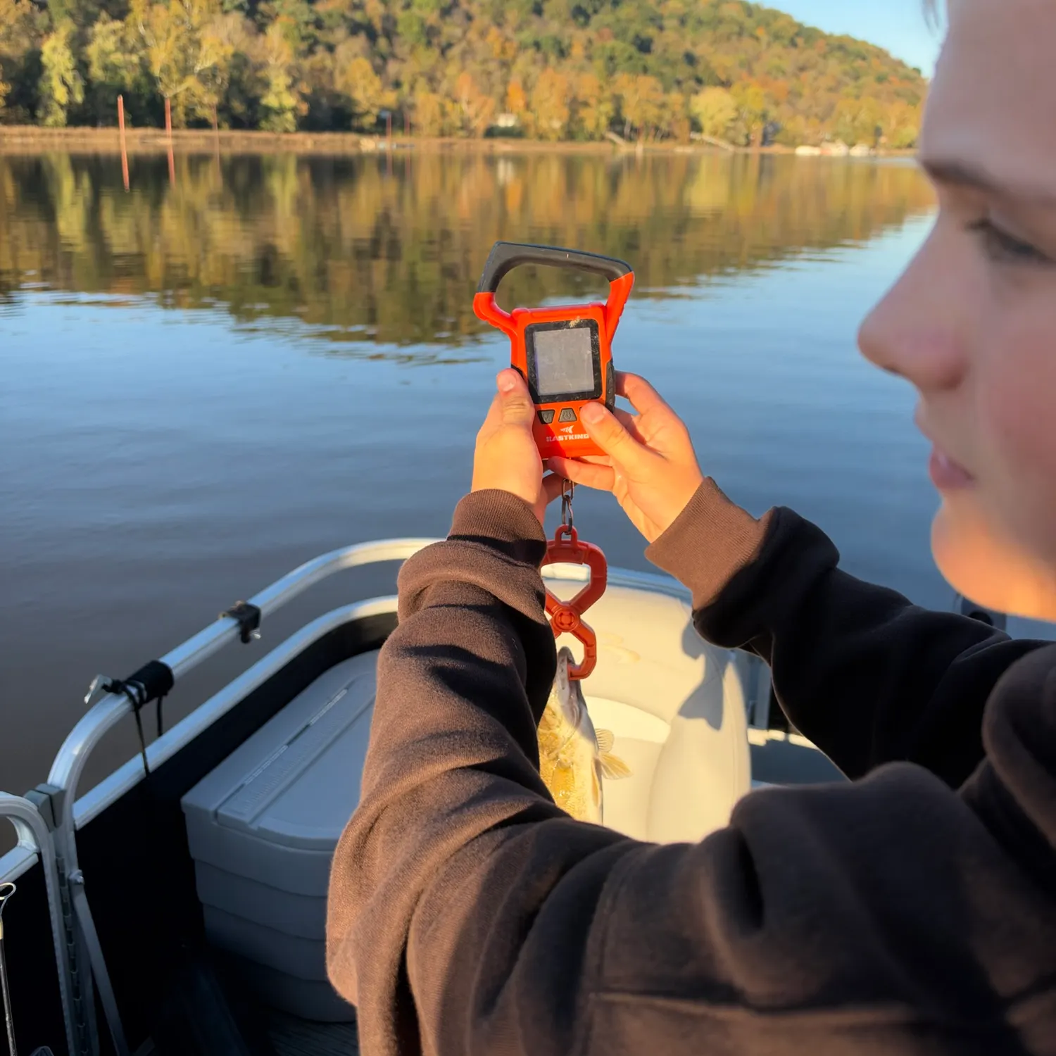 Smallmouth bass caught on Fishbrain