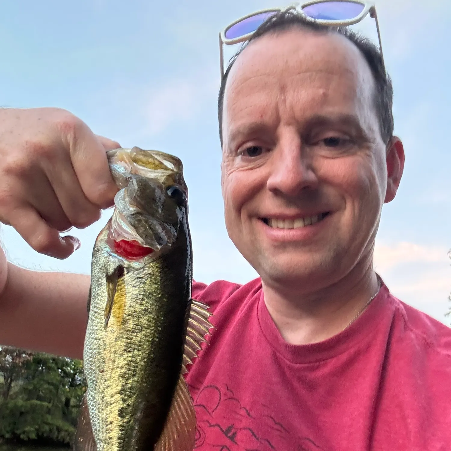 Largemouth bass caught on Fishbrain