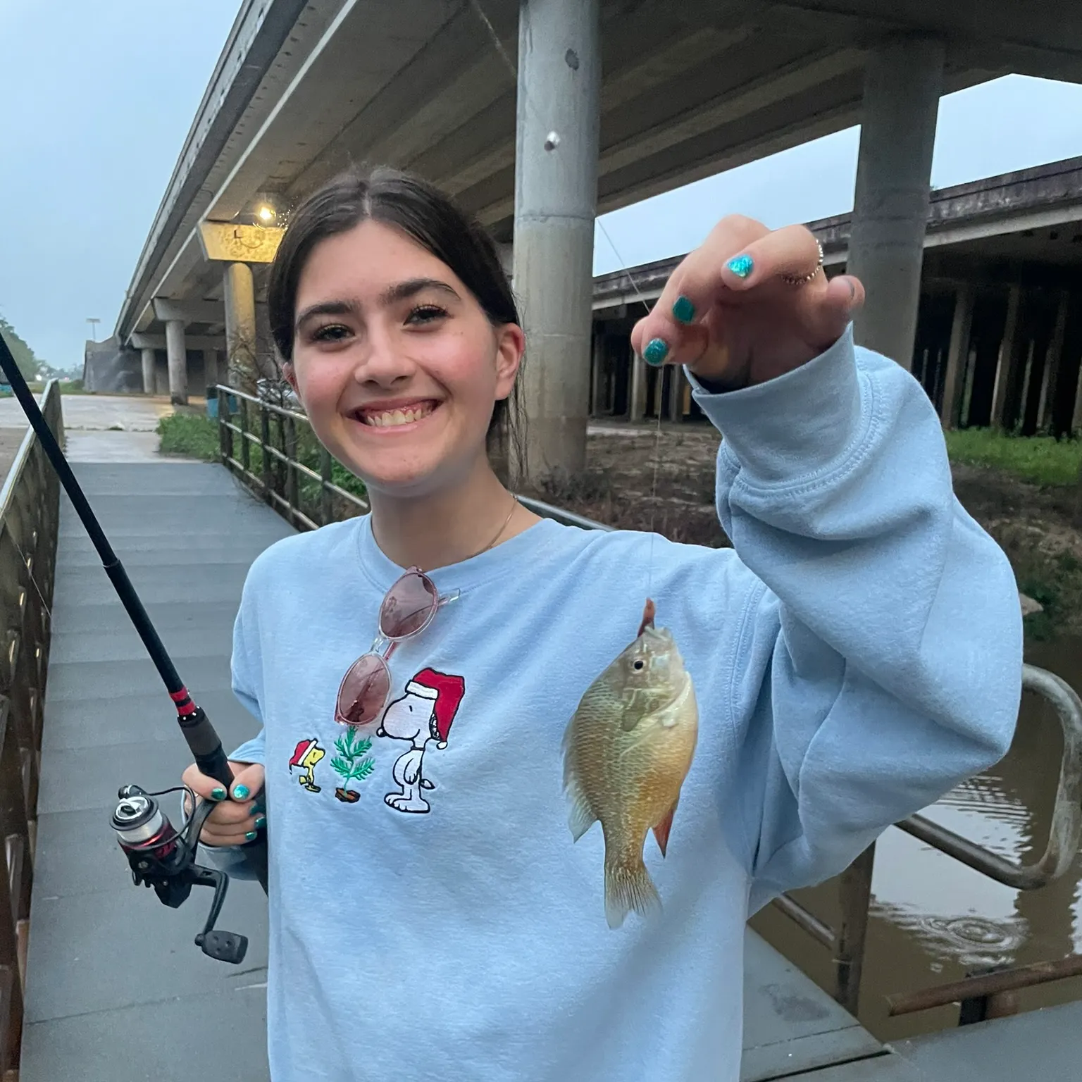 The most recent Redbreast sunfish catches on Fishbrain