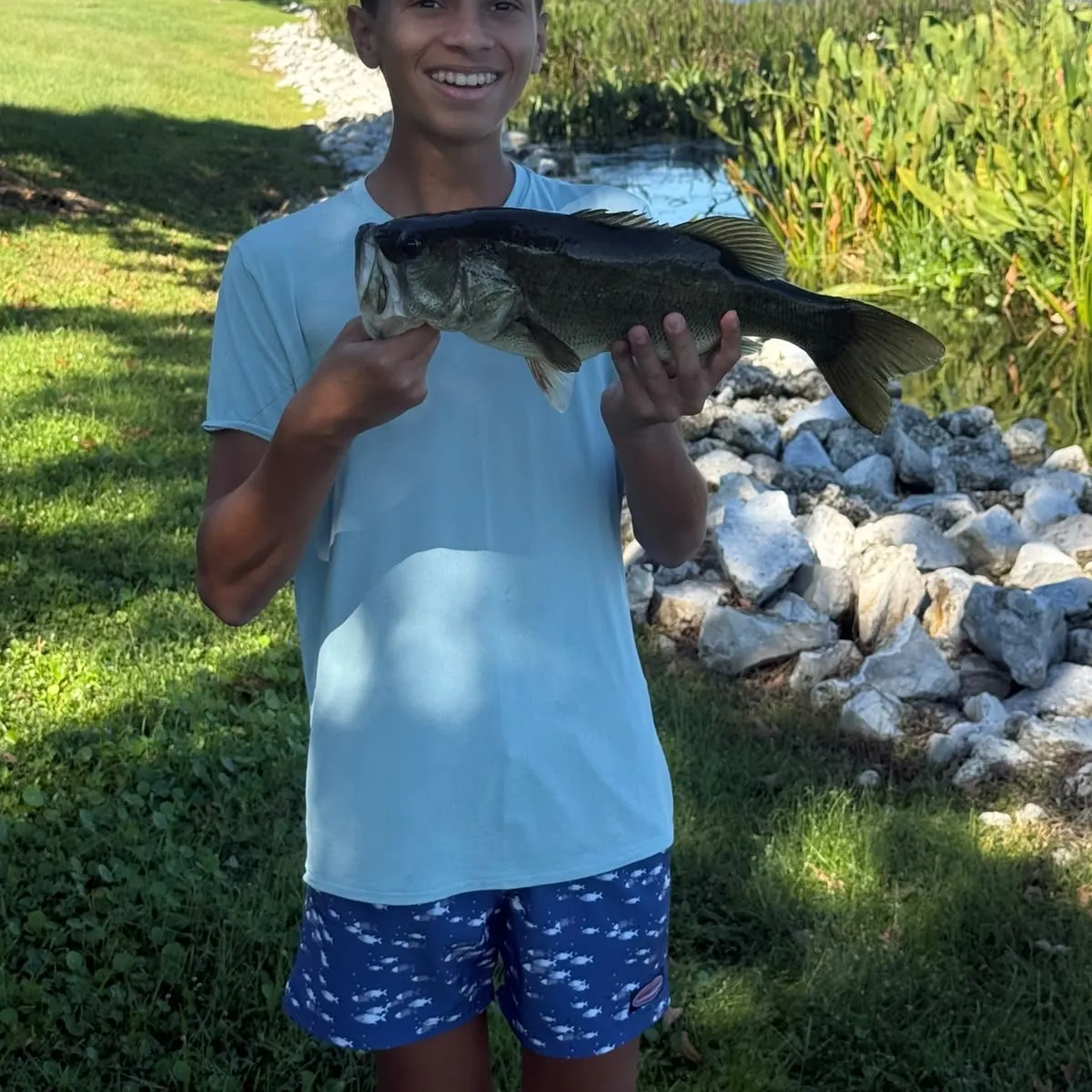 Largemouth bass caught on Fishbrain