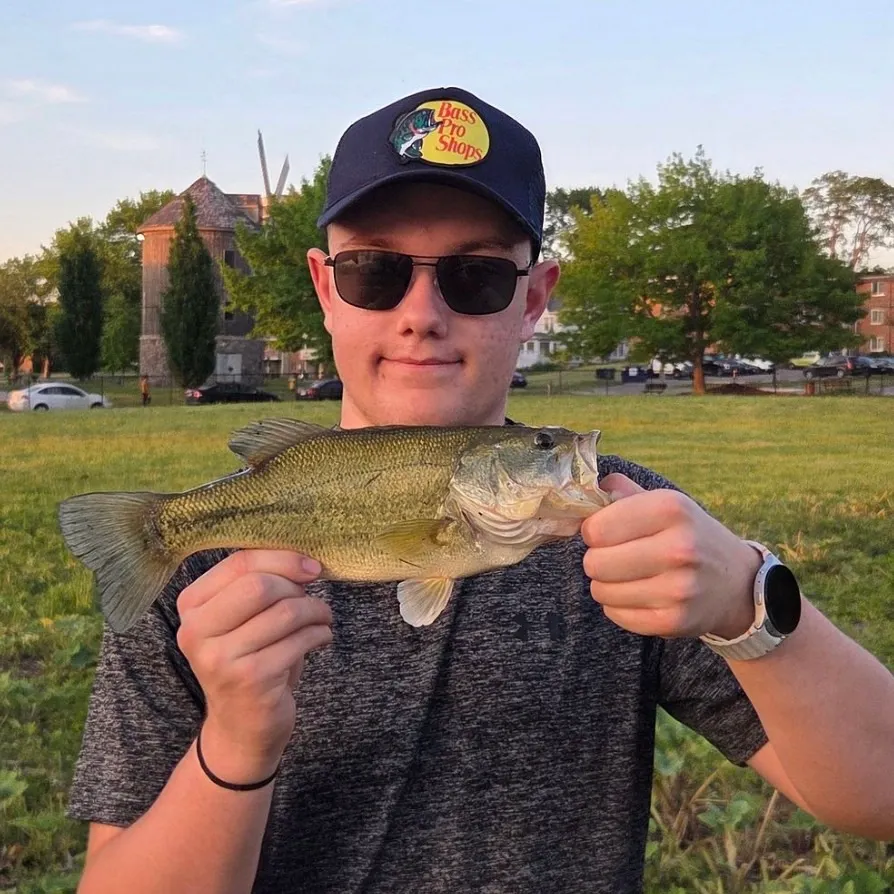 Lake char caught on Fishbrain