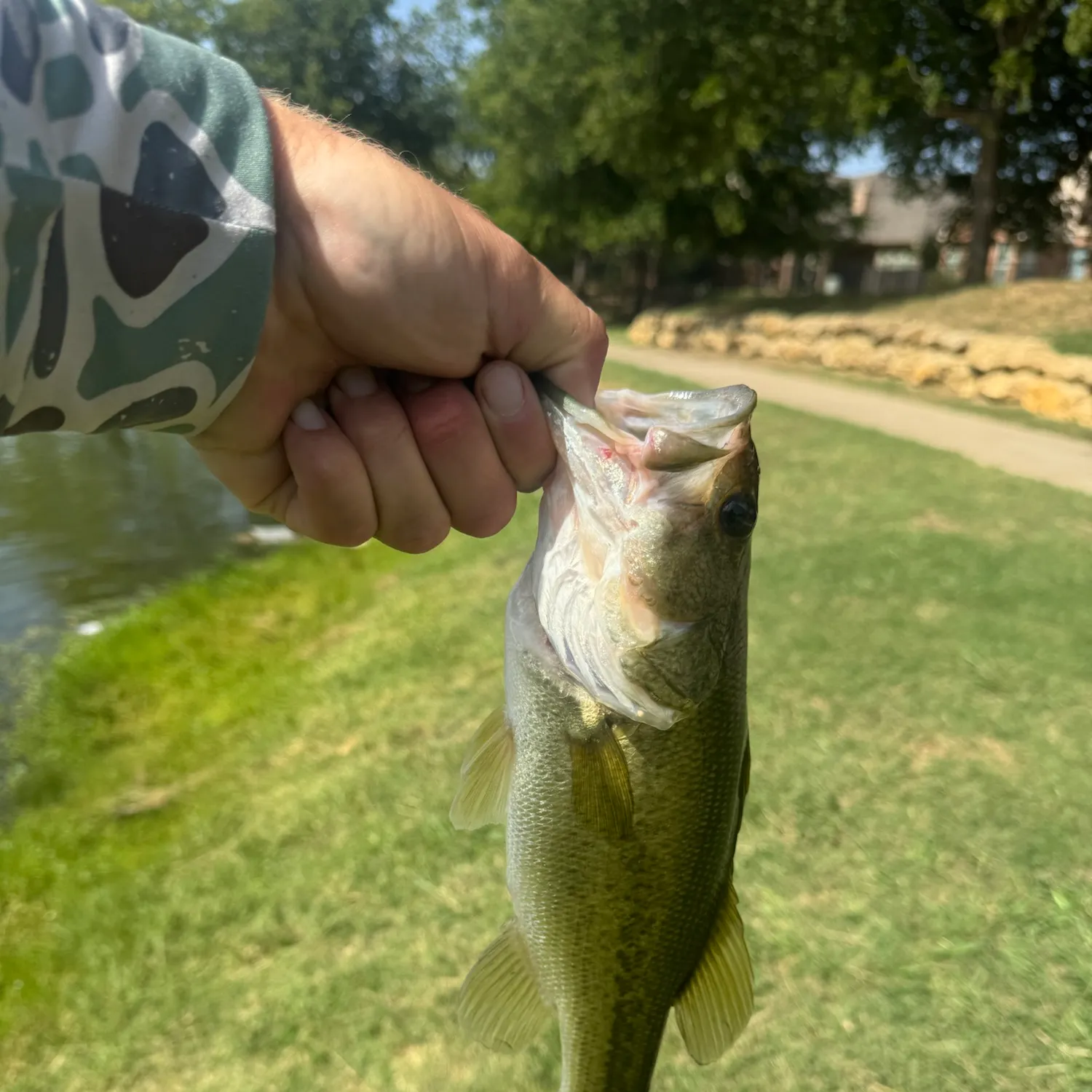 catch