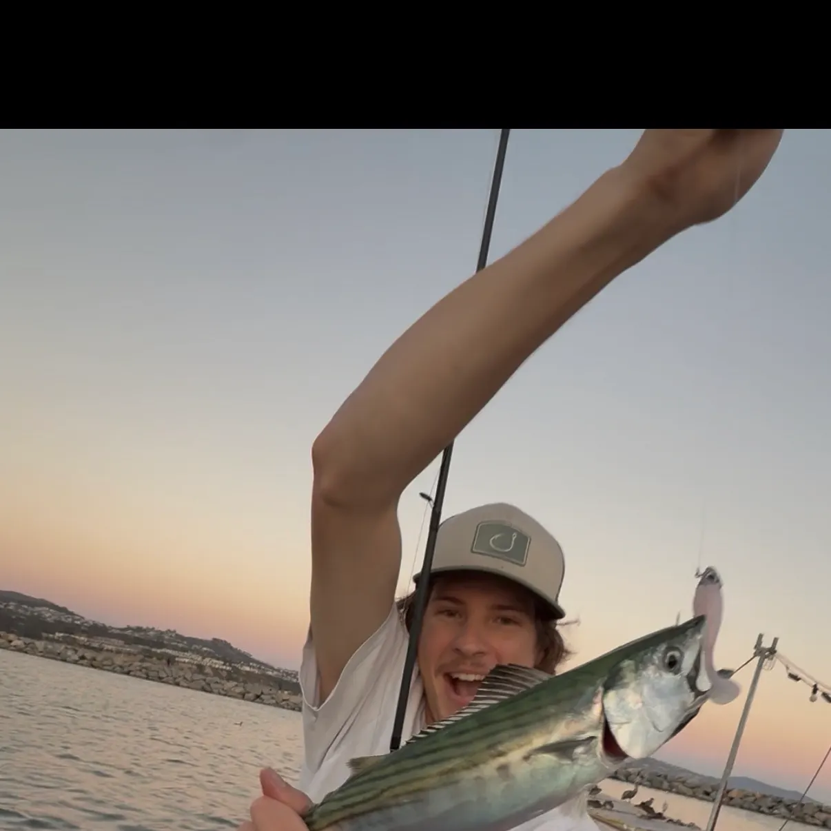 Pacific bonito caught on Fishbrain