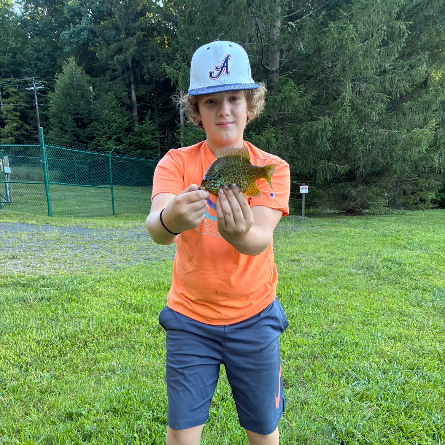 Pumpkinseed caught on Fishbrain