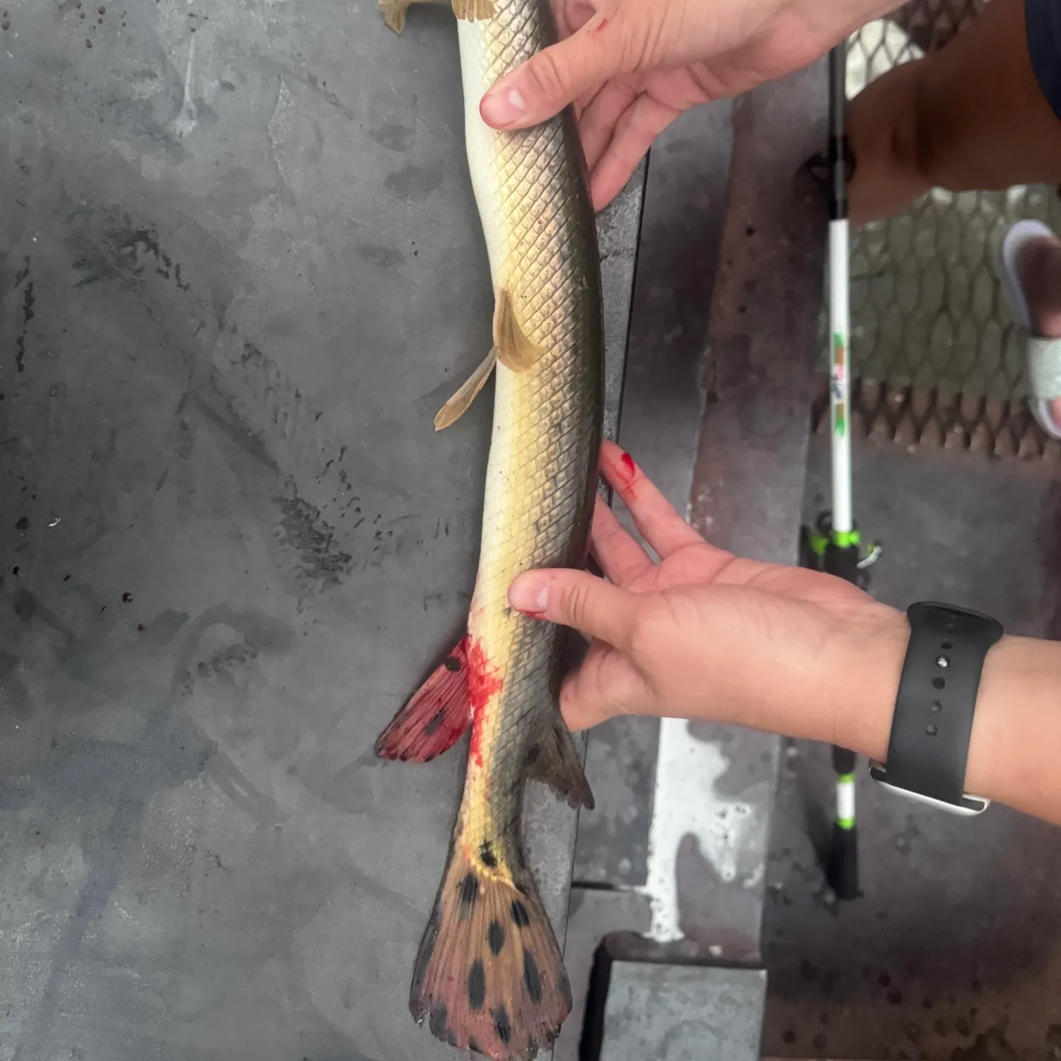 catch