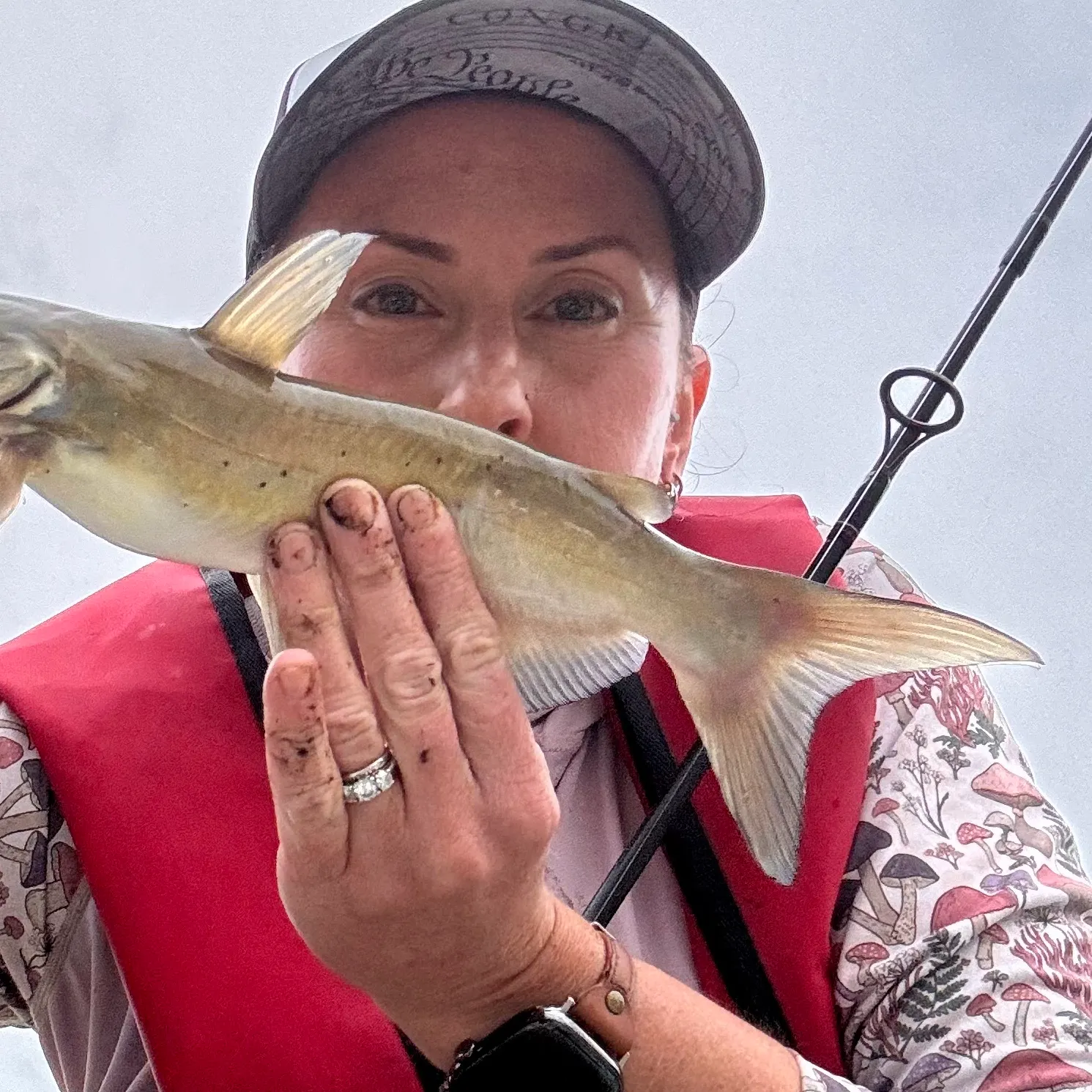 Channel catfish caught on Fishbrain