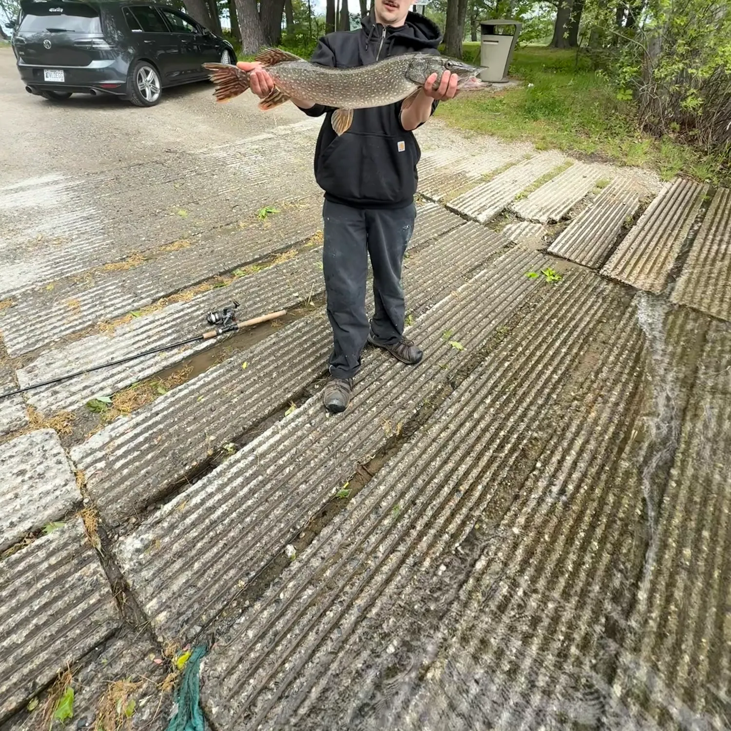 The most recent Northern pike catches on Fishbrain