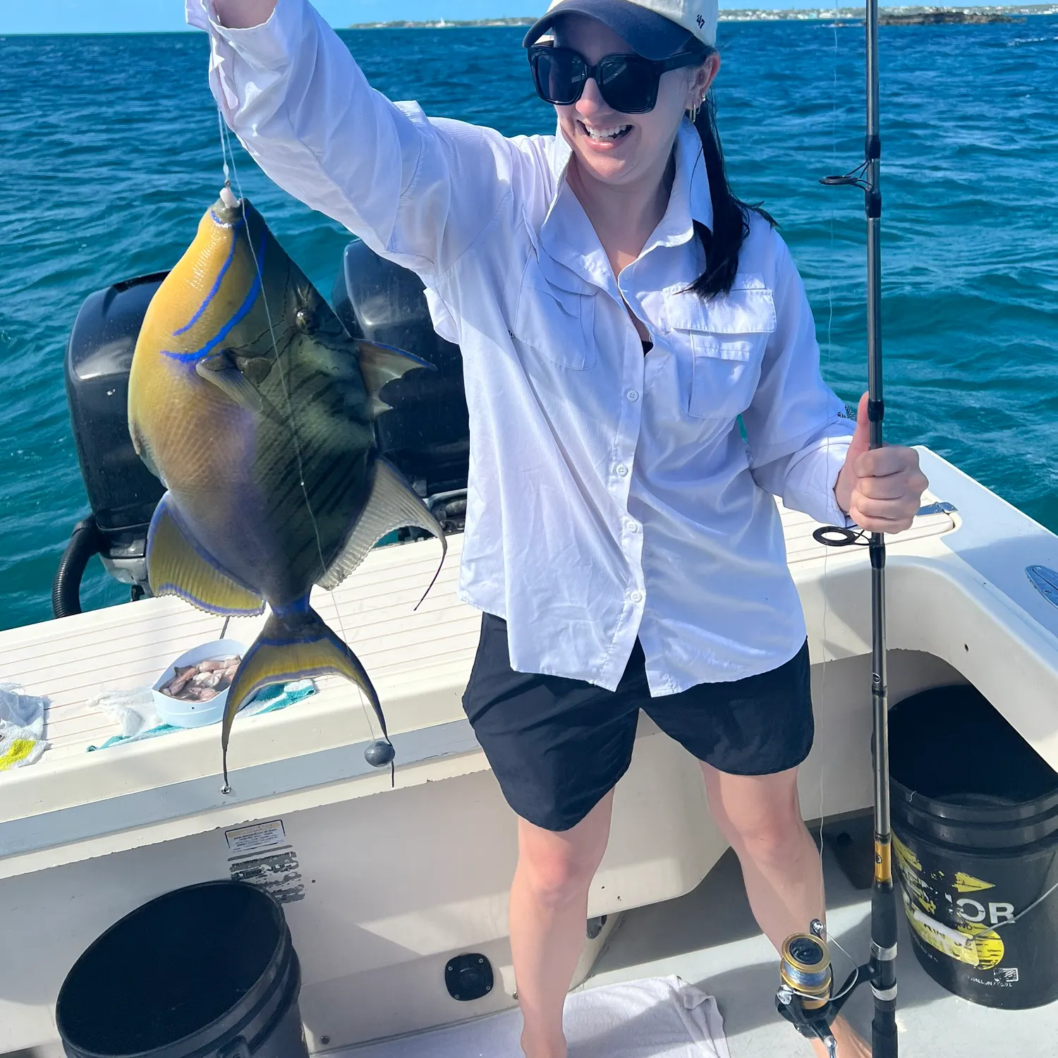 The most recent Queen triggerfish catches on Fishbrain