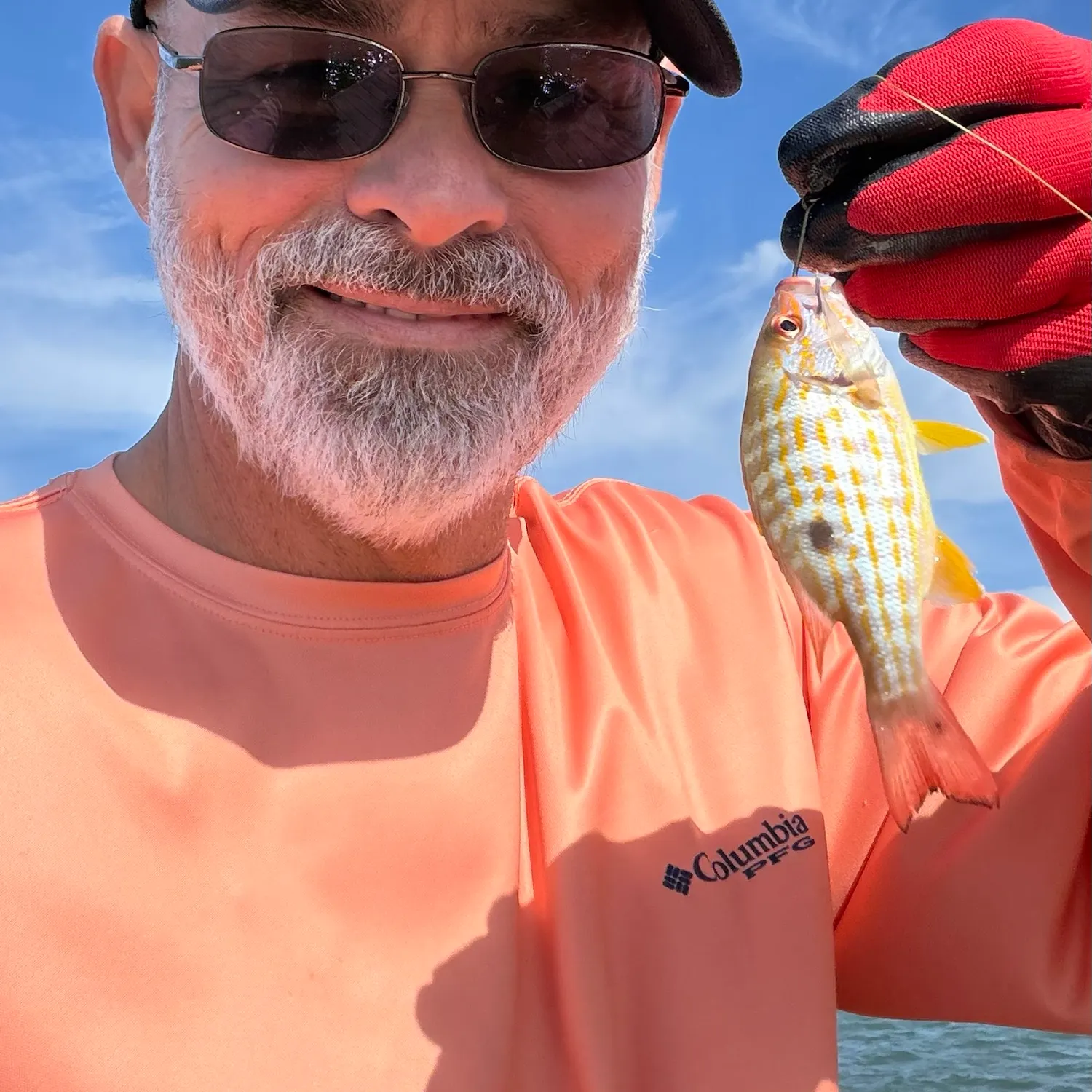 The most recent Lane snapper catches on Fishbrain