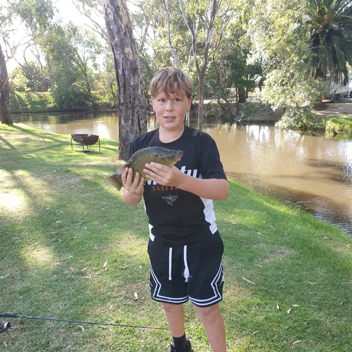 Golden perch caught on Fishbrain