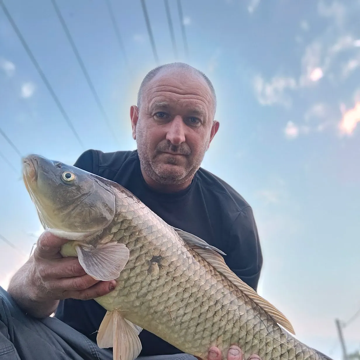 The most popular recent F1 carp catch on Fishbrain