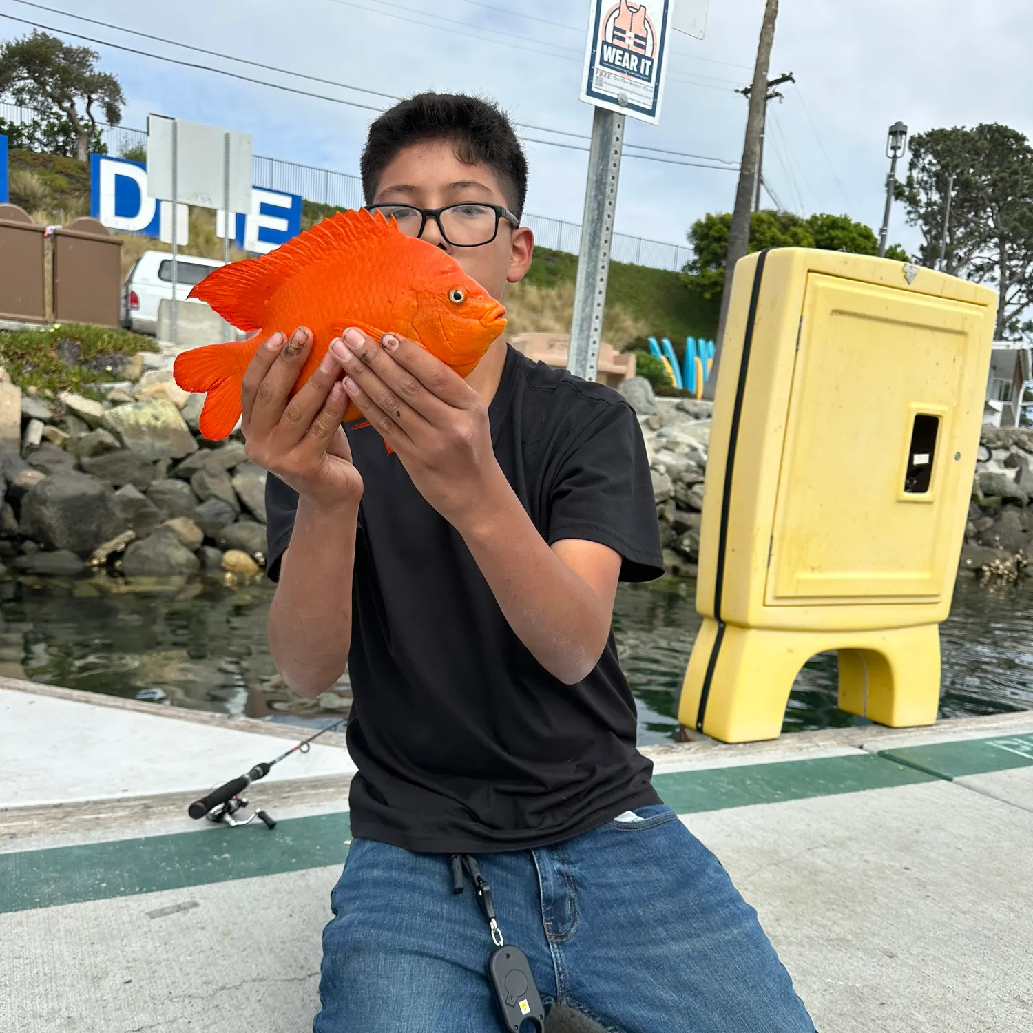 The most recent Garibaldi damselfish catches on Fishbrain