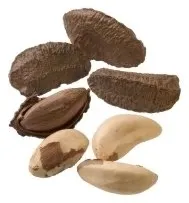 Nut