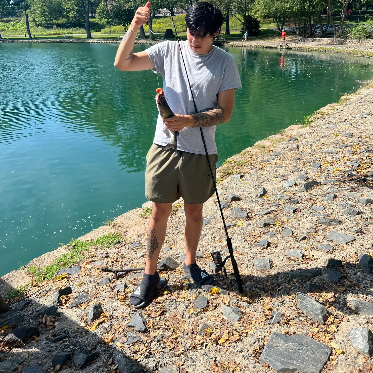Channel catfish caught on Fishbrain