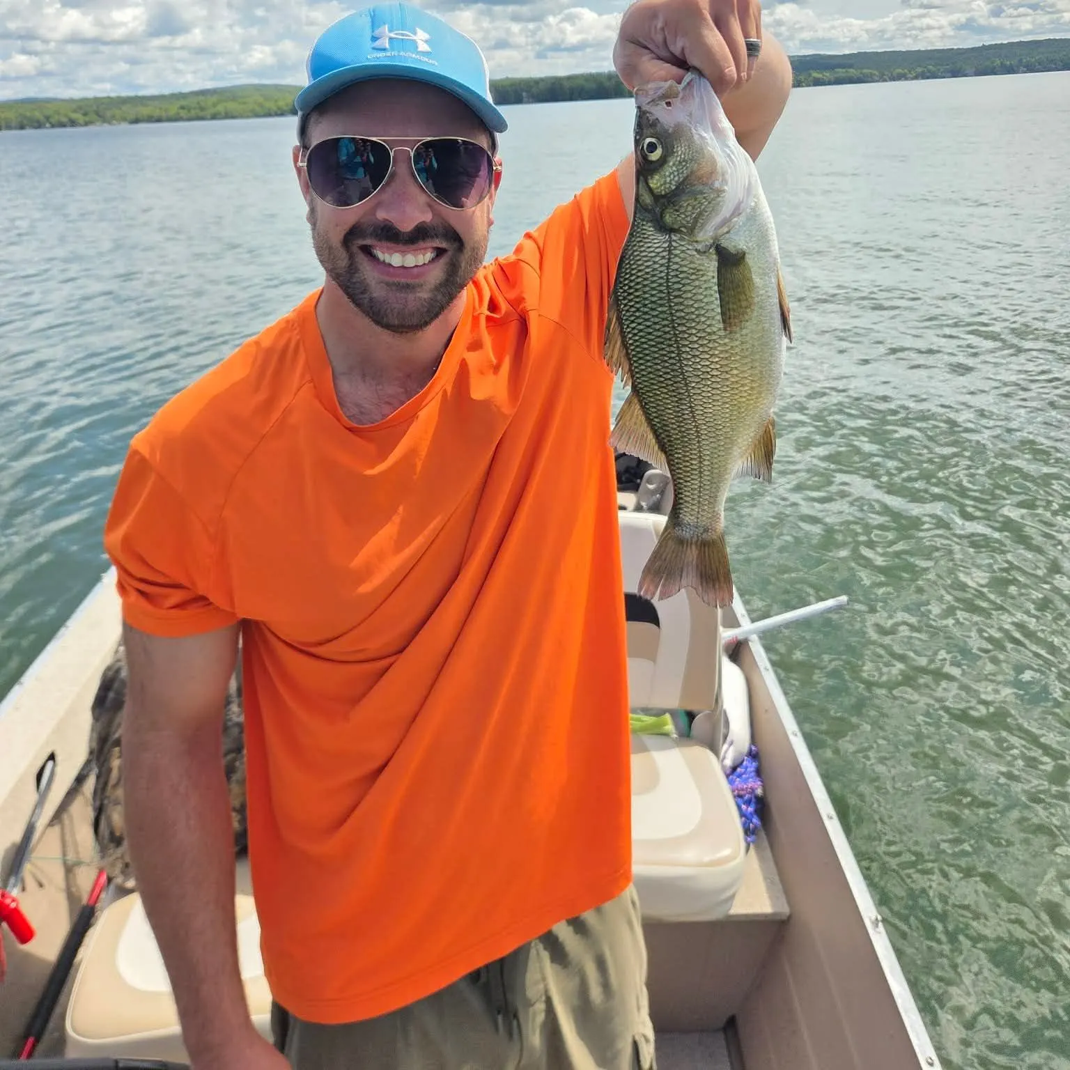 White perch caught on Fishbrain