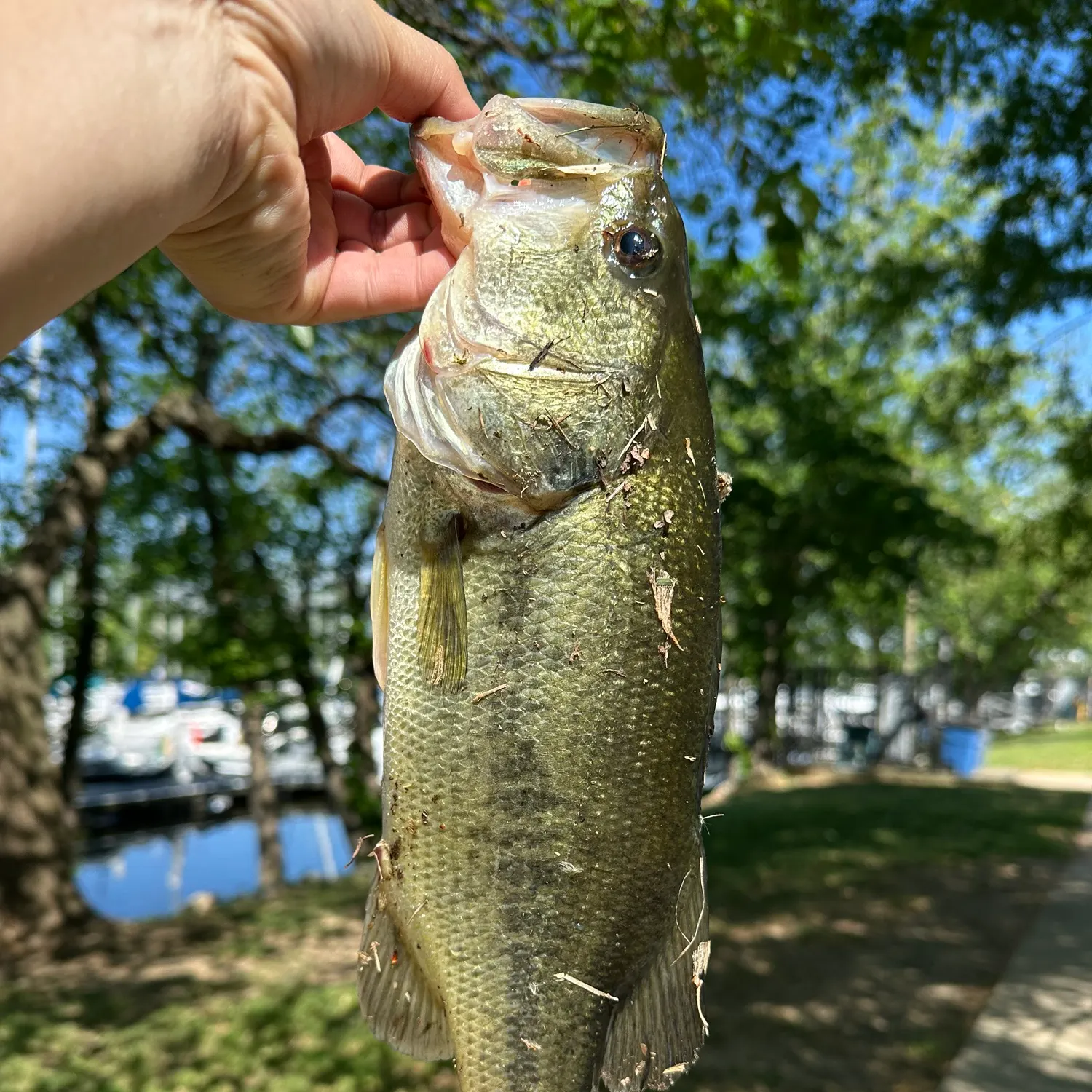 catch