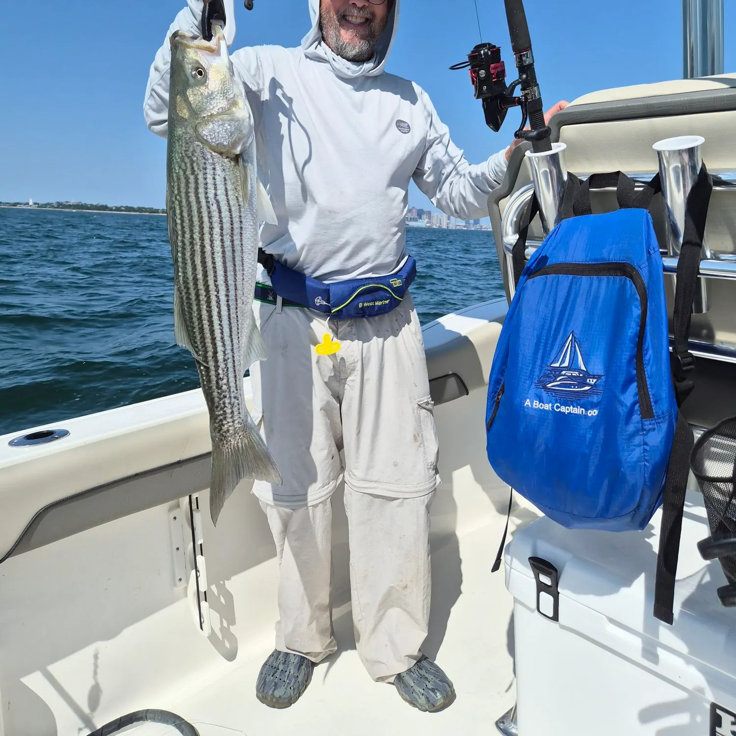 Striped bass caught on Fishbrain