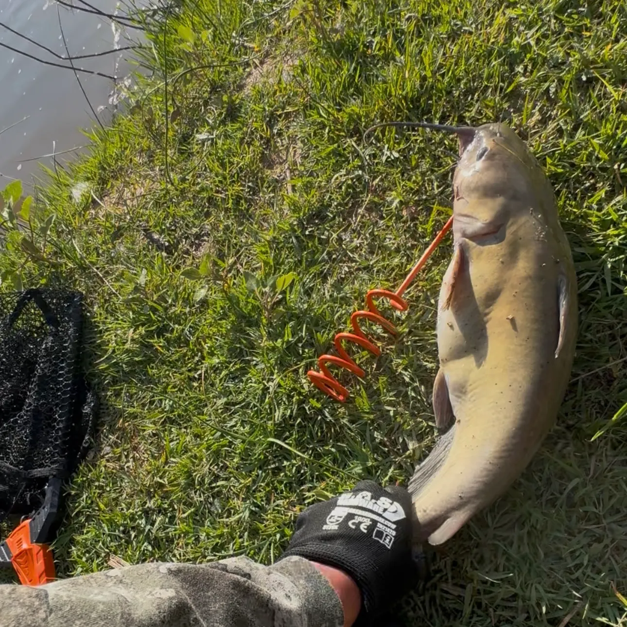 catch