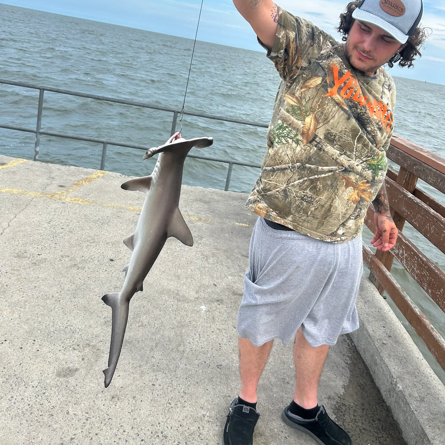 The most recent Smooth hammerhead shark catches on Fishbrain