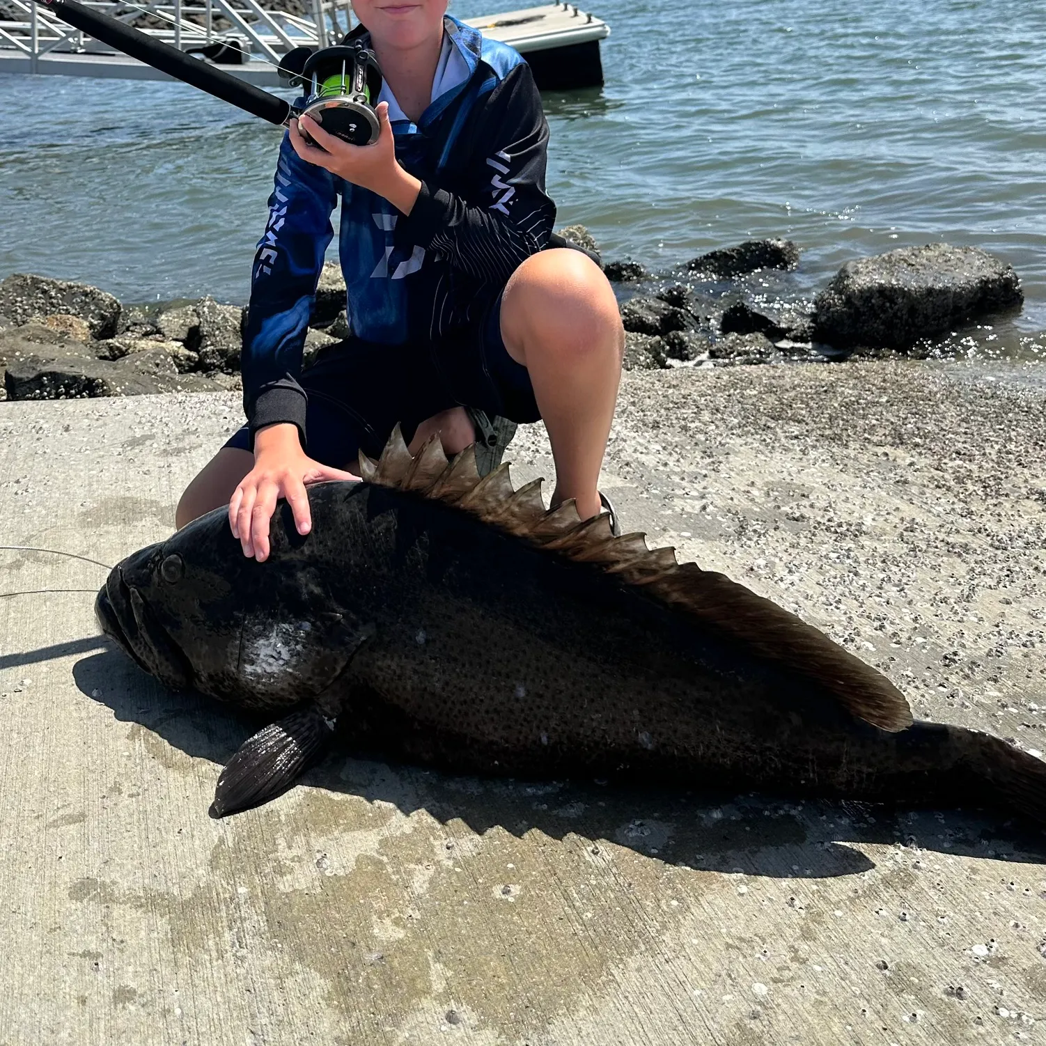 The most recent Malabar grouper catches on Fishbrain