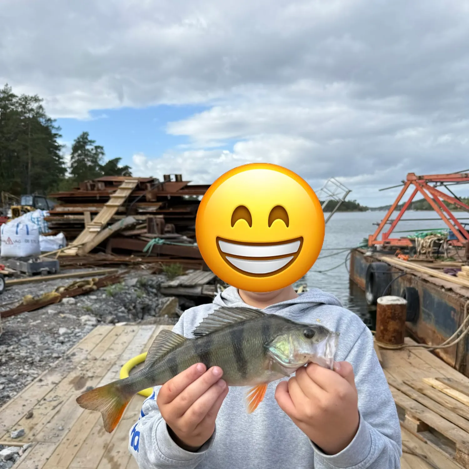 European perch caught on Fishbrain