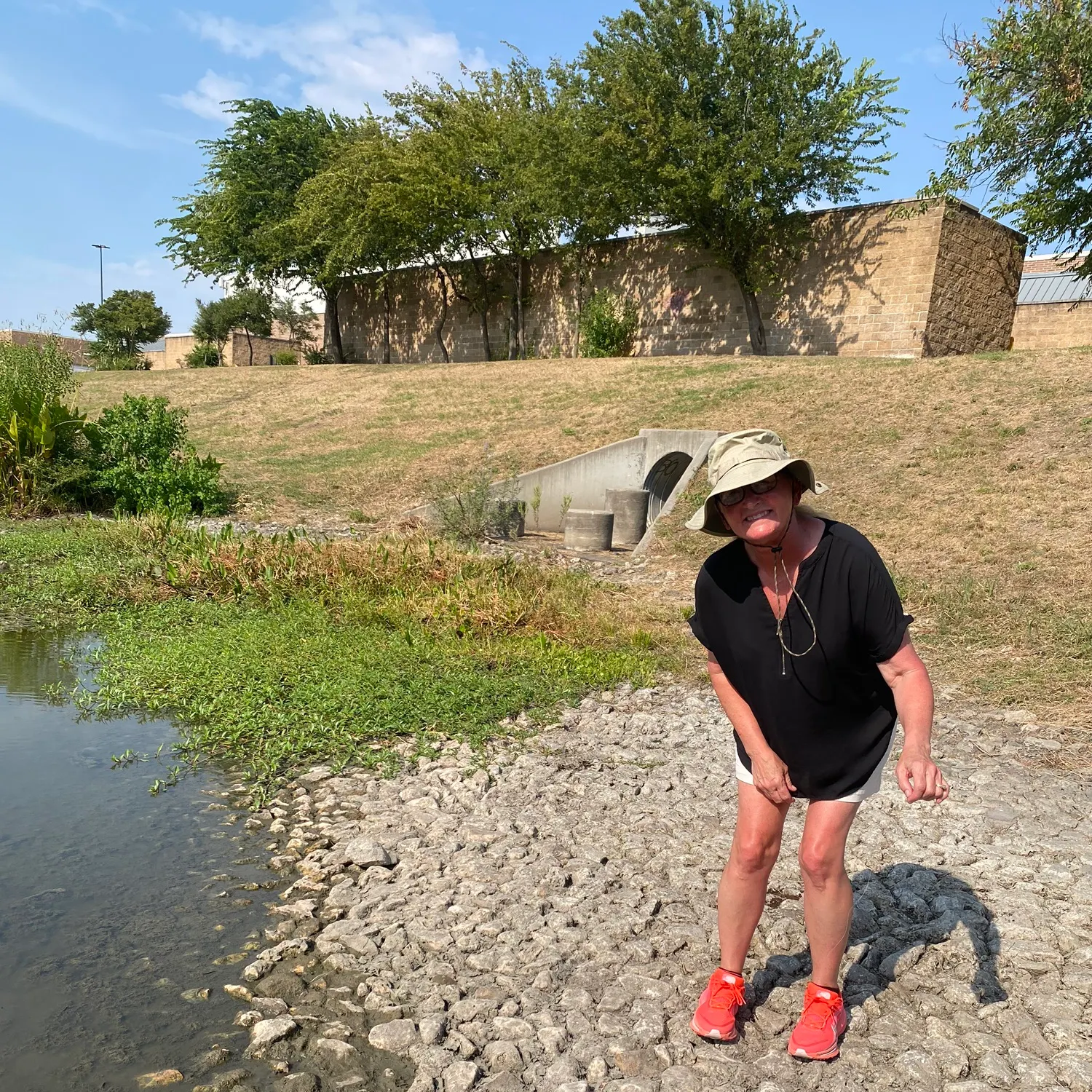 The most recent Texas cooter turtle catches on Fishbrain