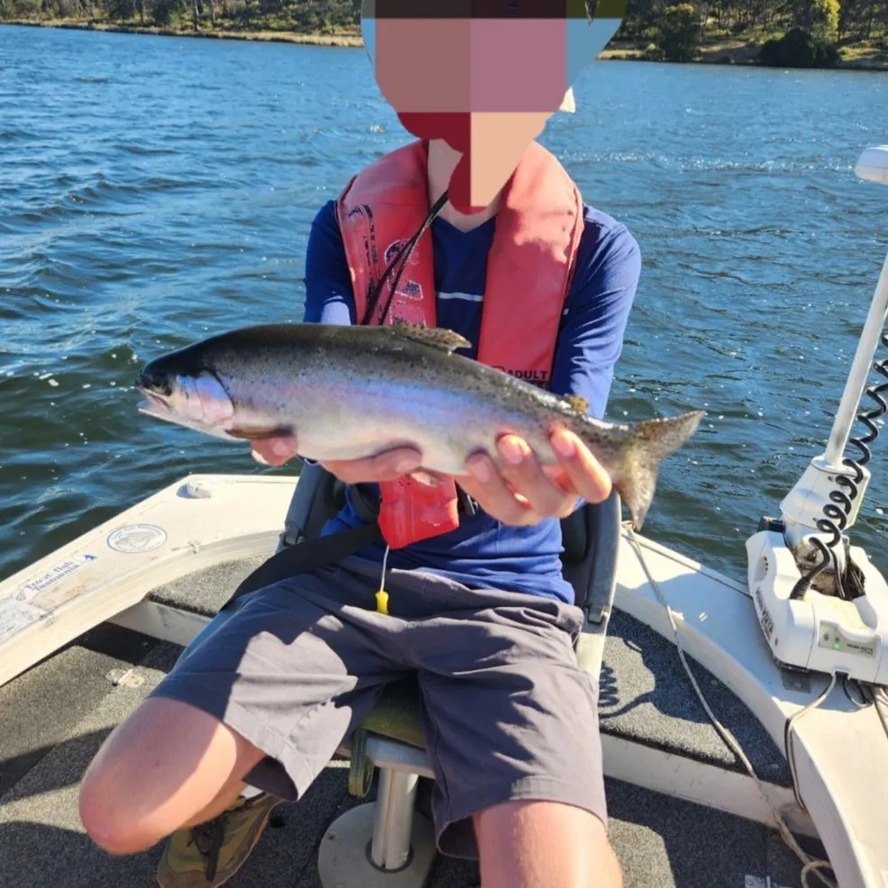 Rainbow trout caught on Fishbrain