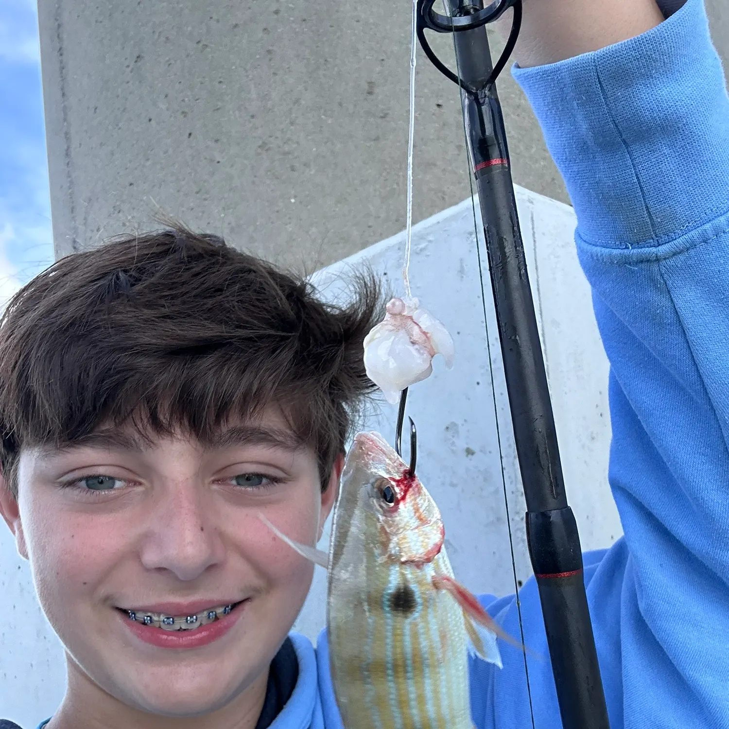 Pinfish caught on Fishbrain