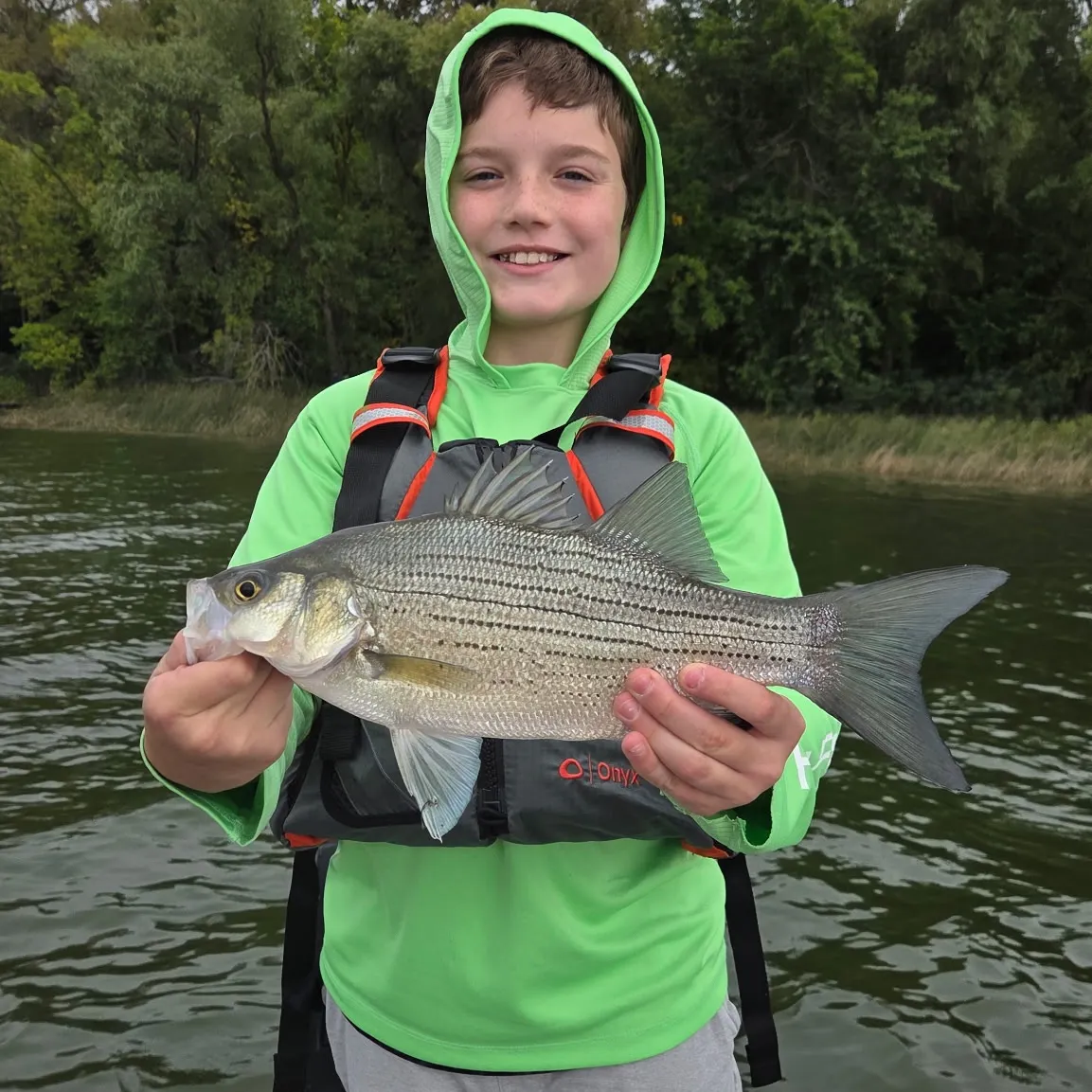 White bass caught on Fishbrain