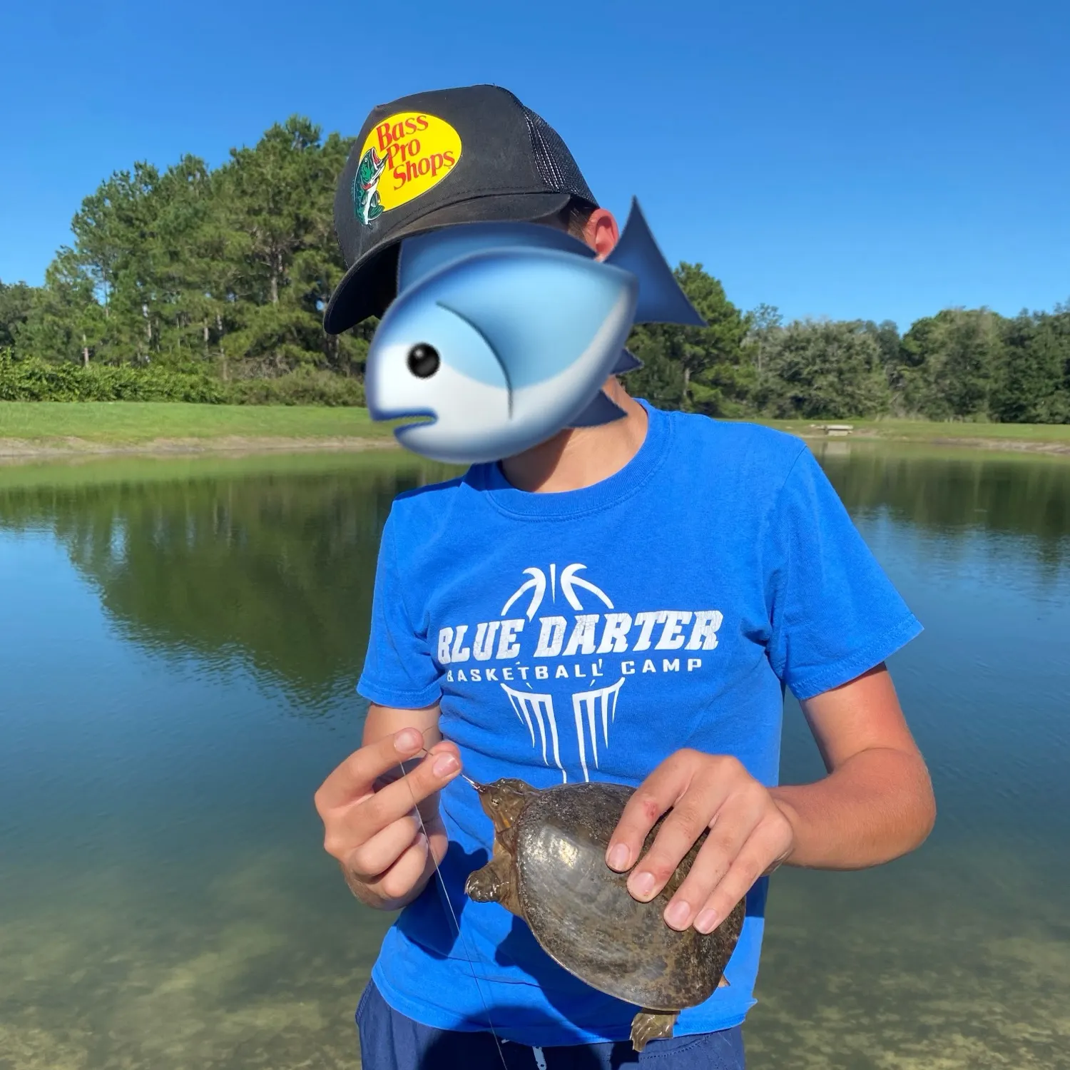 The most recent Florida softshell turtle catches on Fishbrain