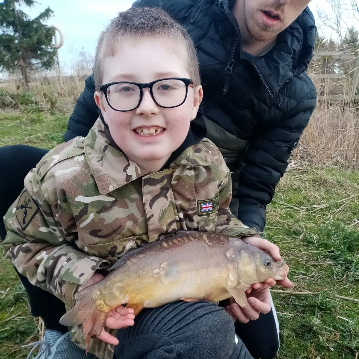 Mirror carp caught on Fishbrain