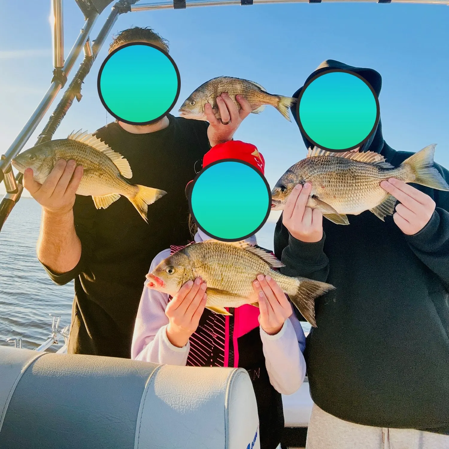 Southern black bream caught on Fishbrain