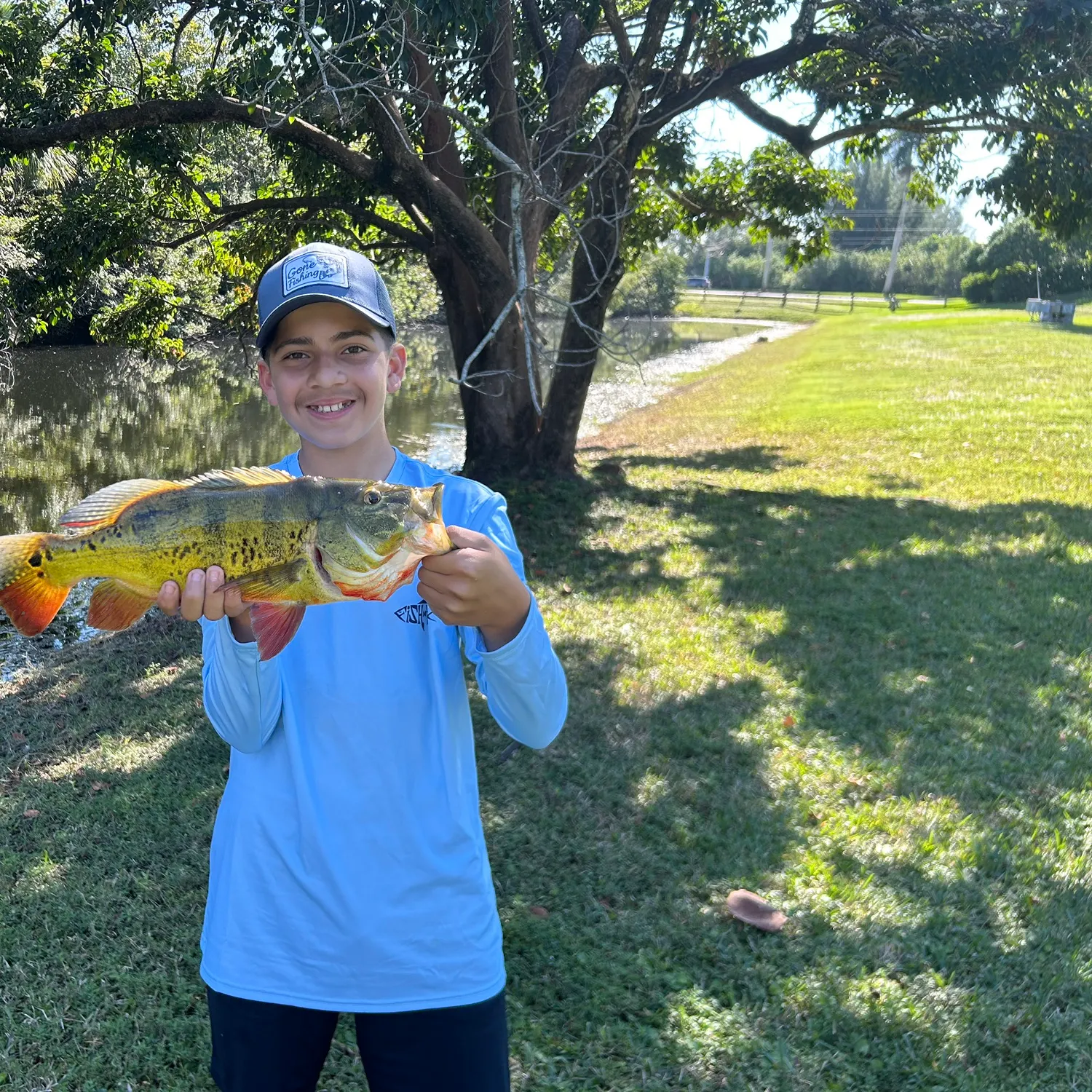 The most recent Butterfly peacock bass catches on Fishbrain