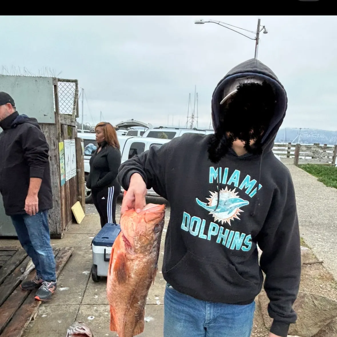 The most recent Vermilion rockfish catches on Fishbrain