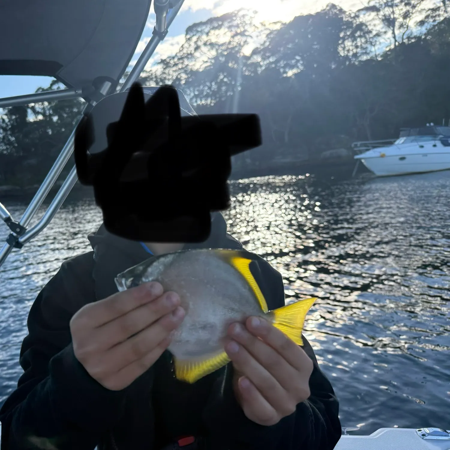The most recent Silver moony catches on Fishbrain