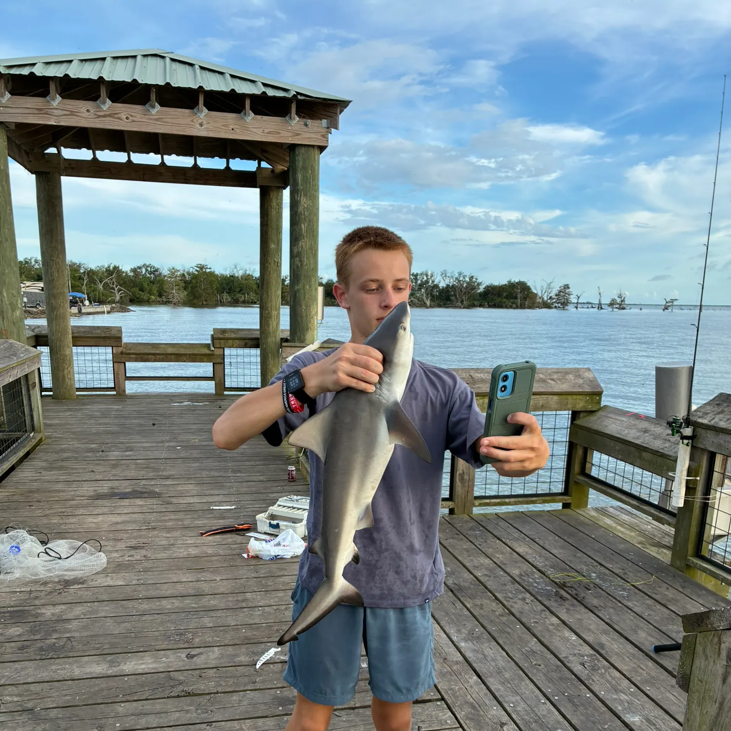 Blacktip shark caught on Fishbrain