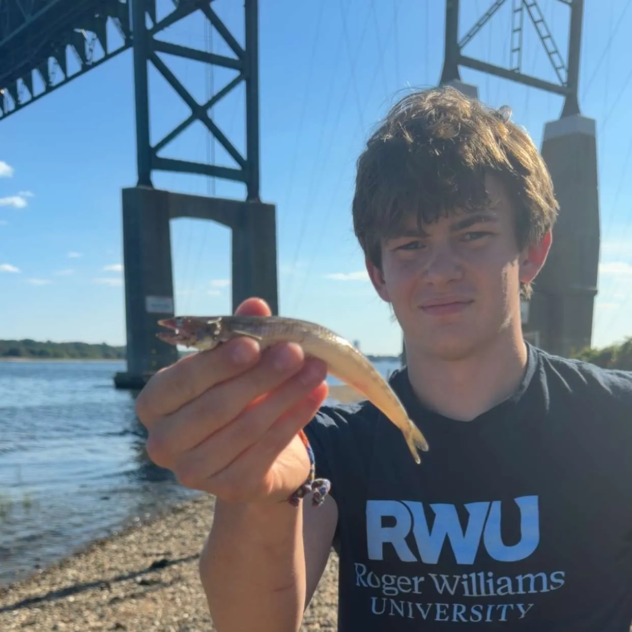 Inshore lizardfish caught on Fishbrain