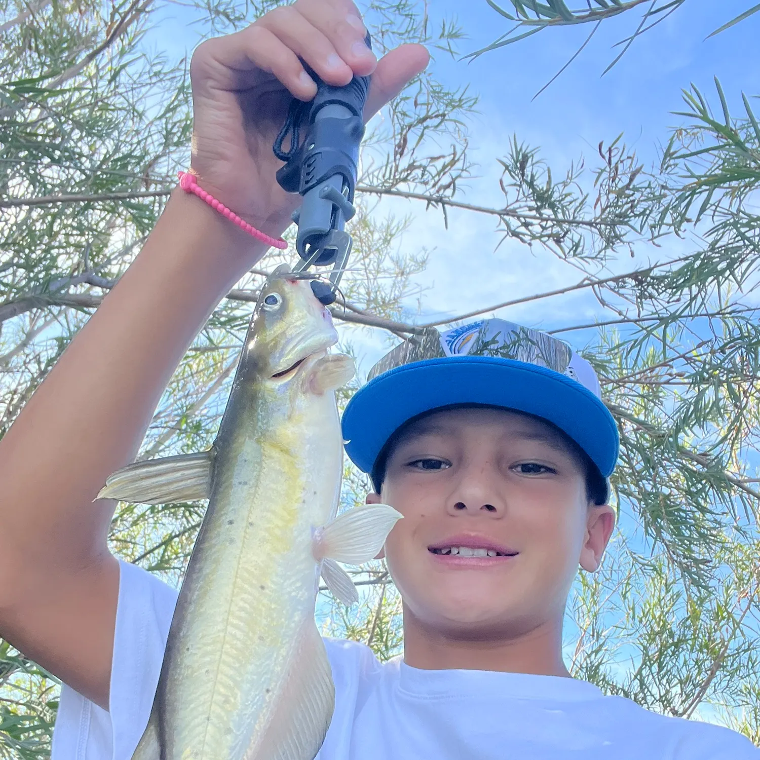 Fish caught on Fishbrain
