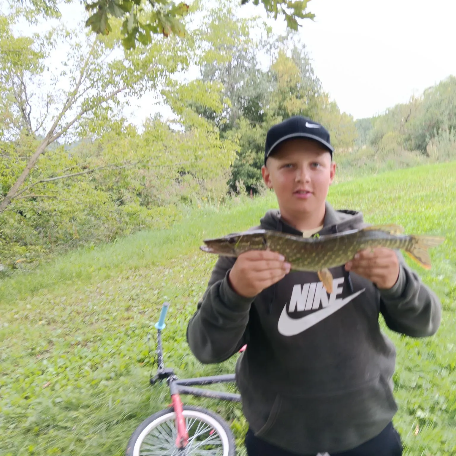 Northern pike caught on Fishbrain