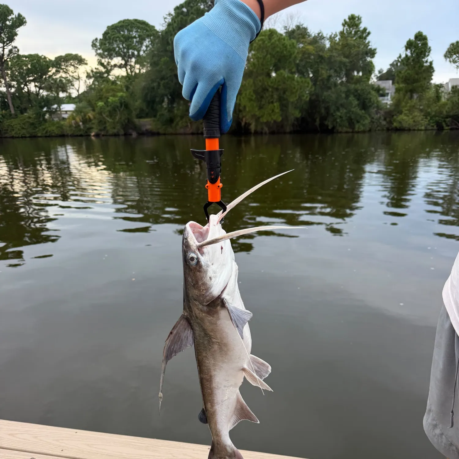 catch