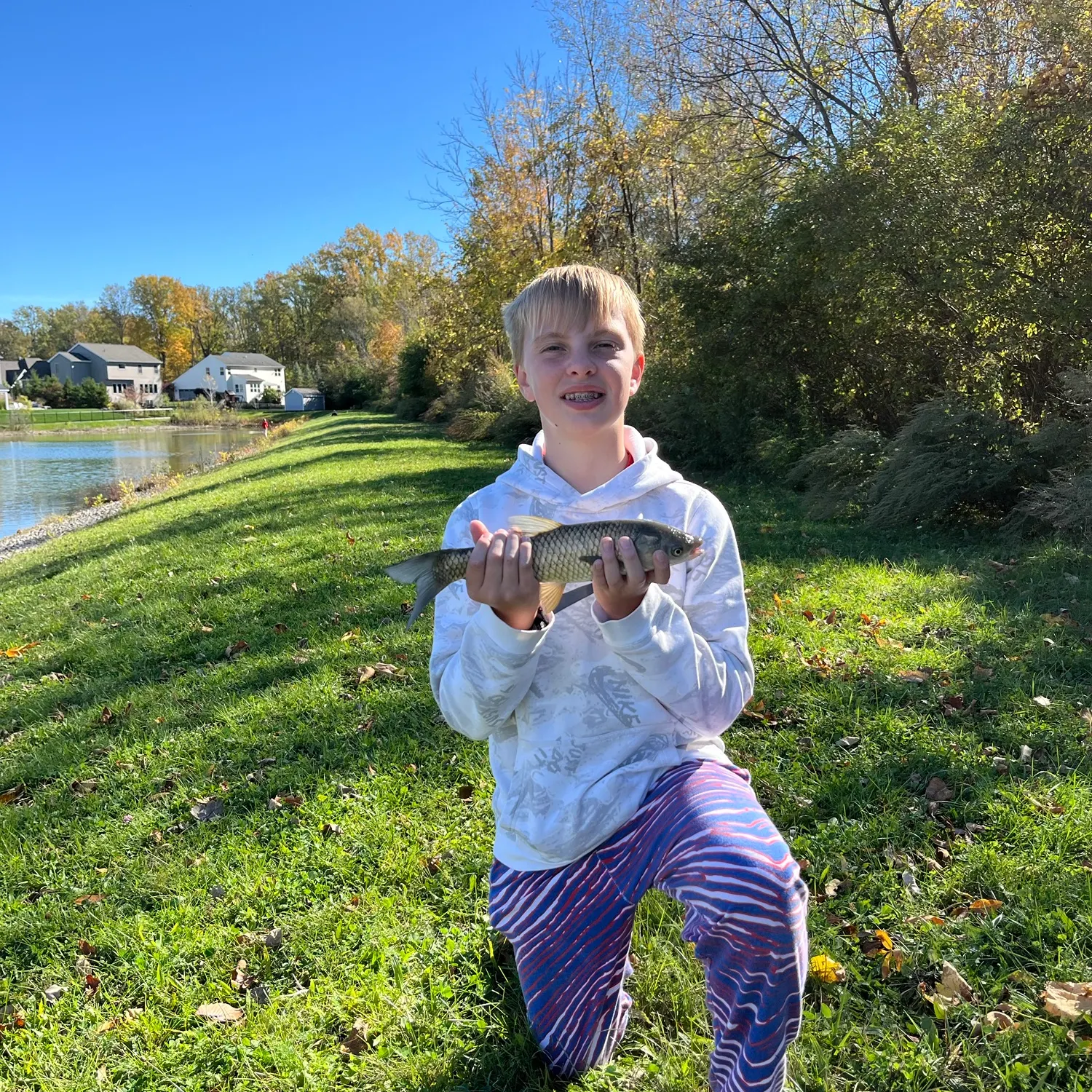 Grass carp caught on Fishbrain